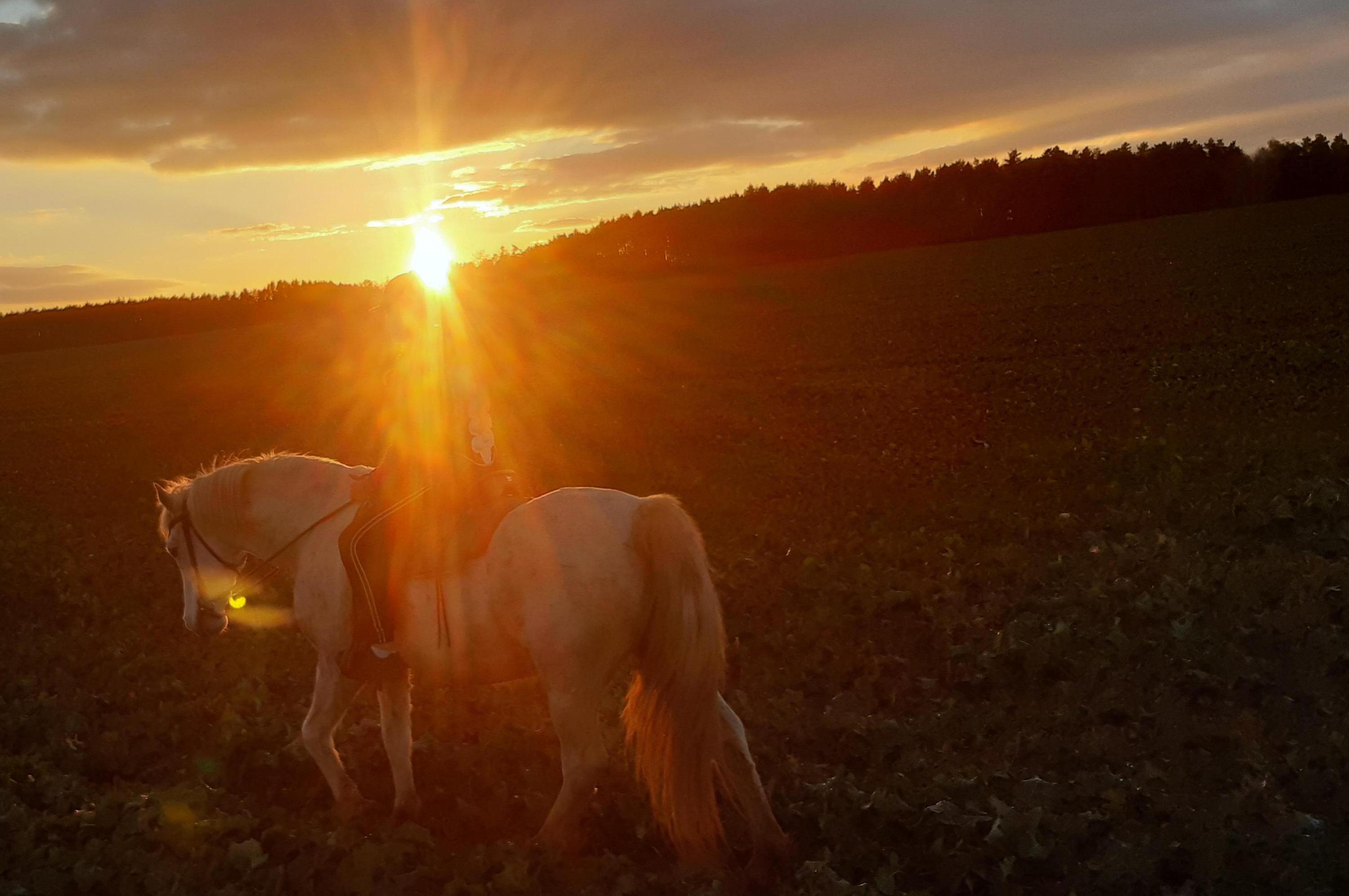 Jezdecký klub Ranch u Bentleyho