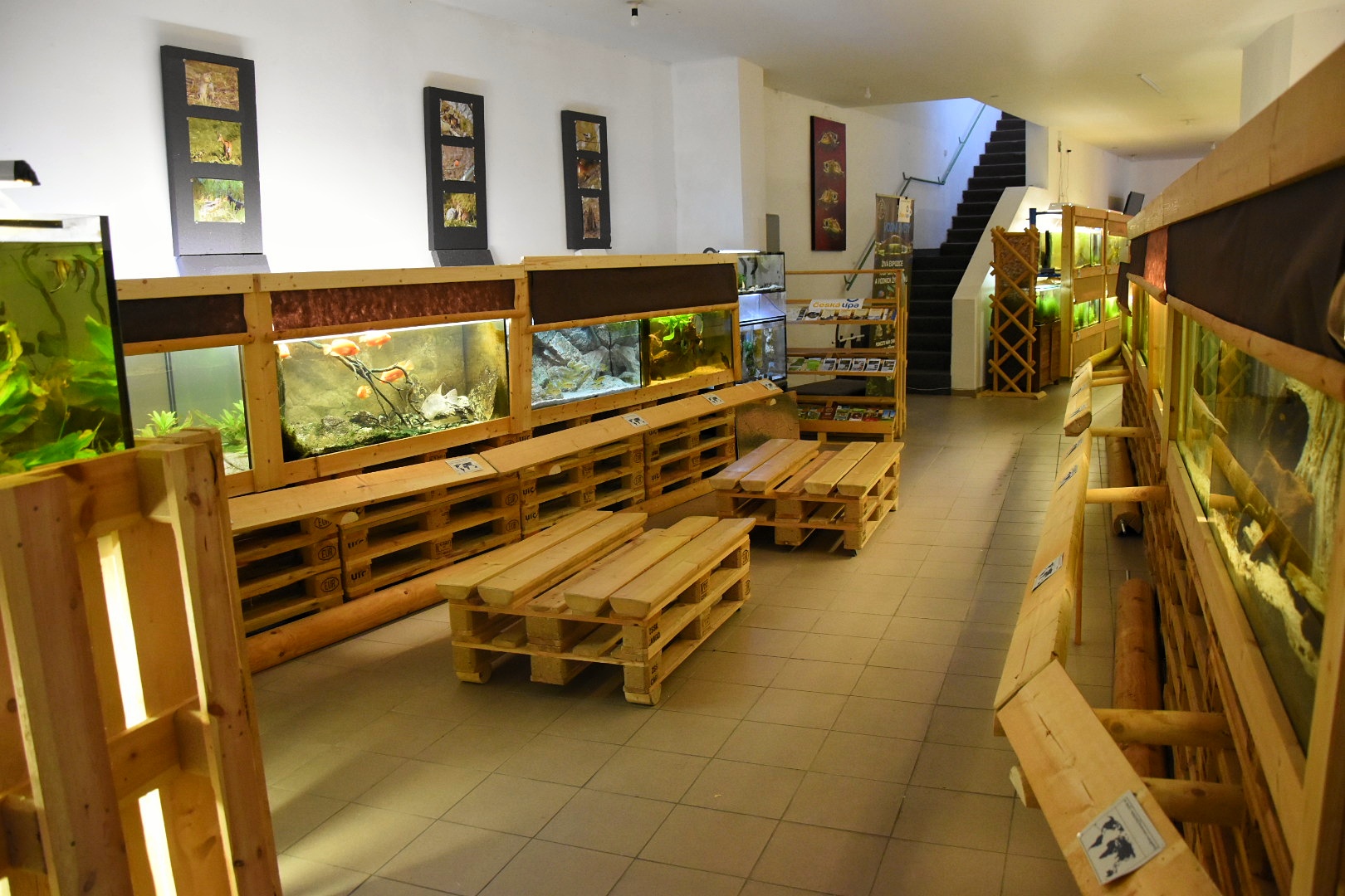 Veřejné akvárium v České Lípě foto 2