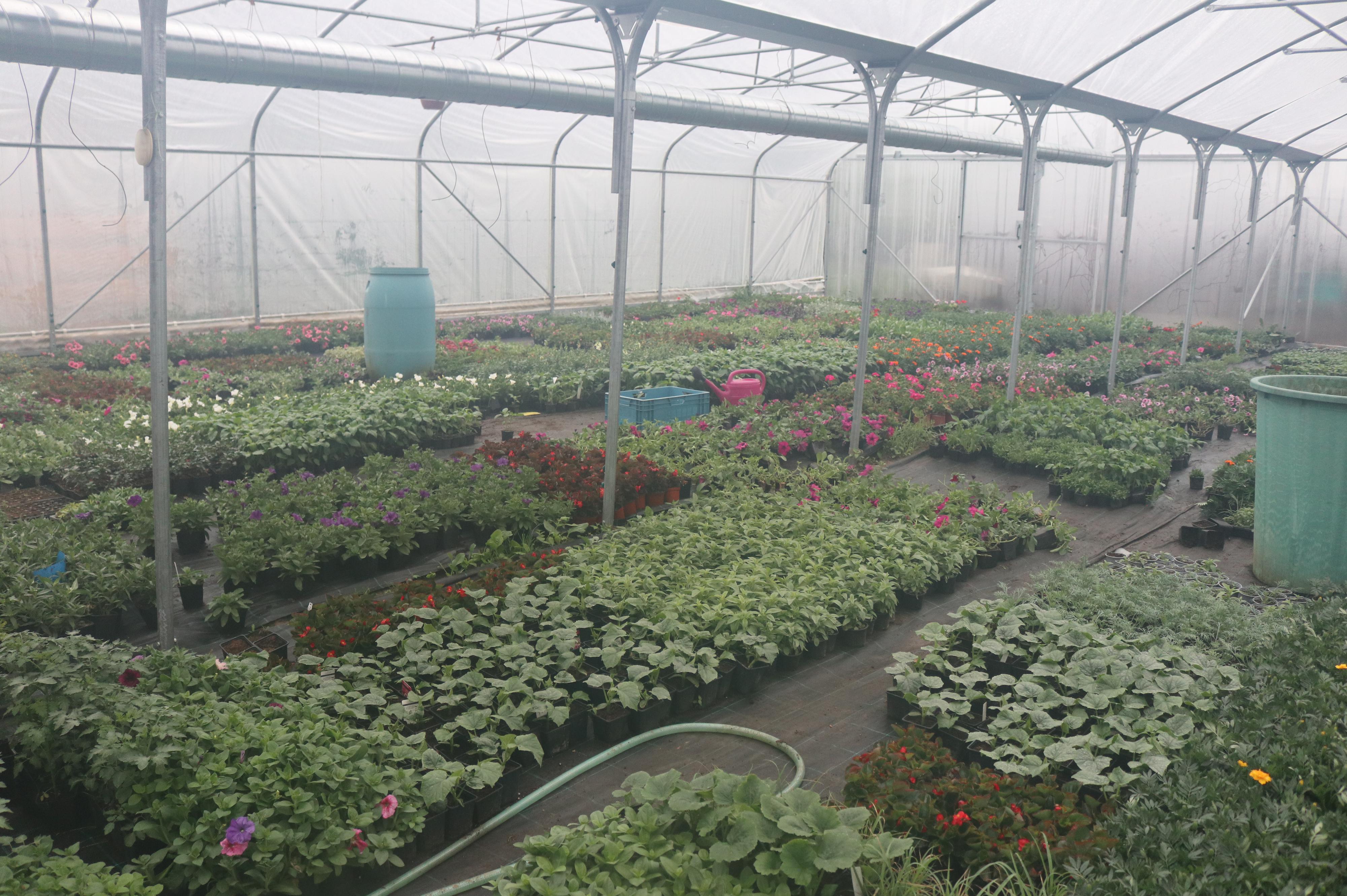 Zahradnictví Ing. Martin Chytrý foto 1