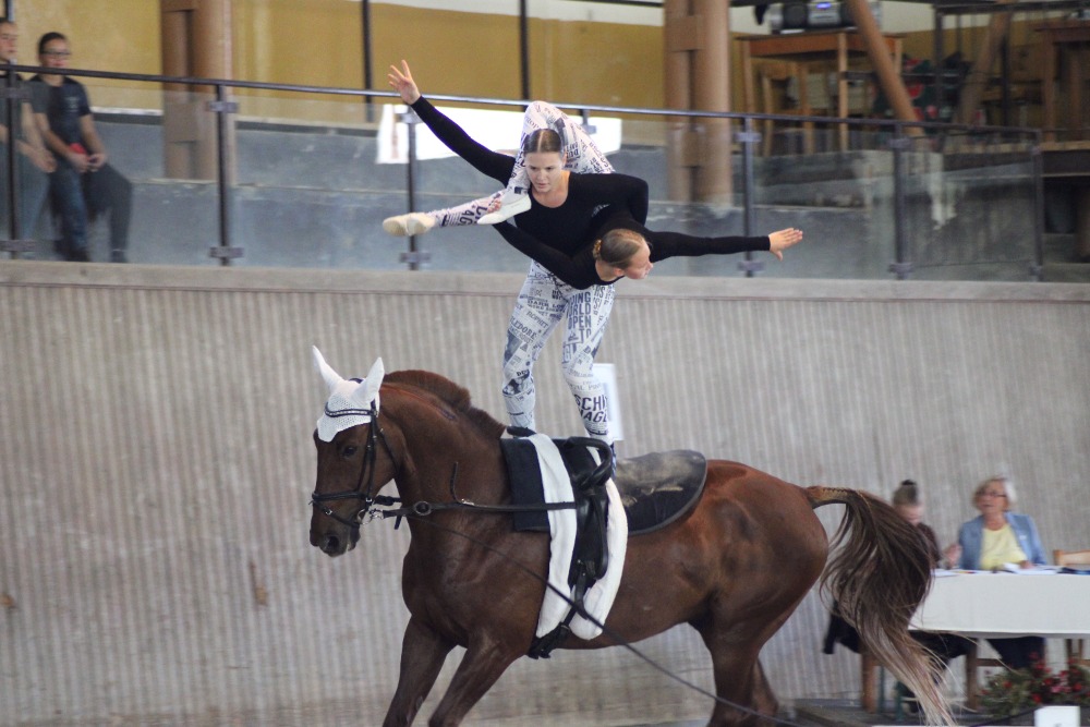 Voltiž Duha z.s. foto 4