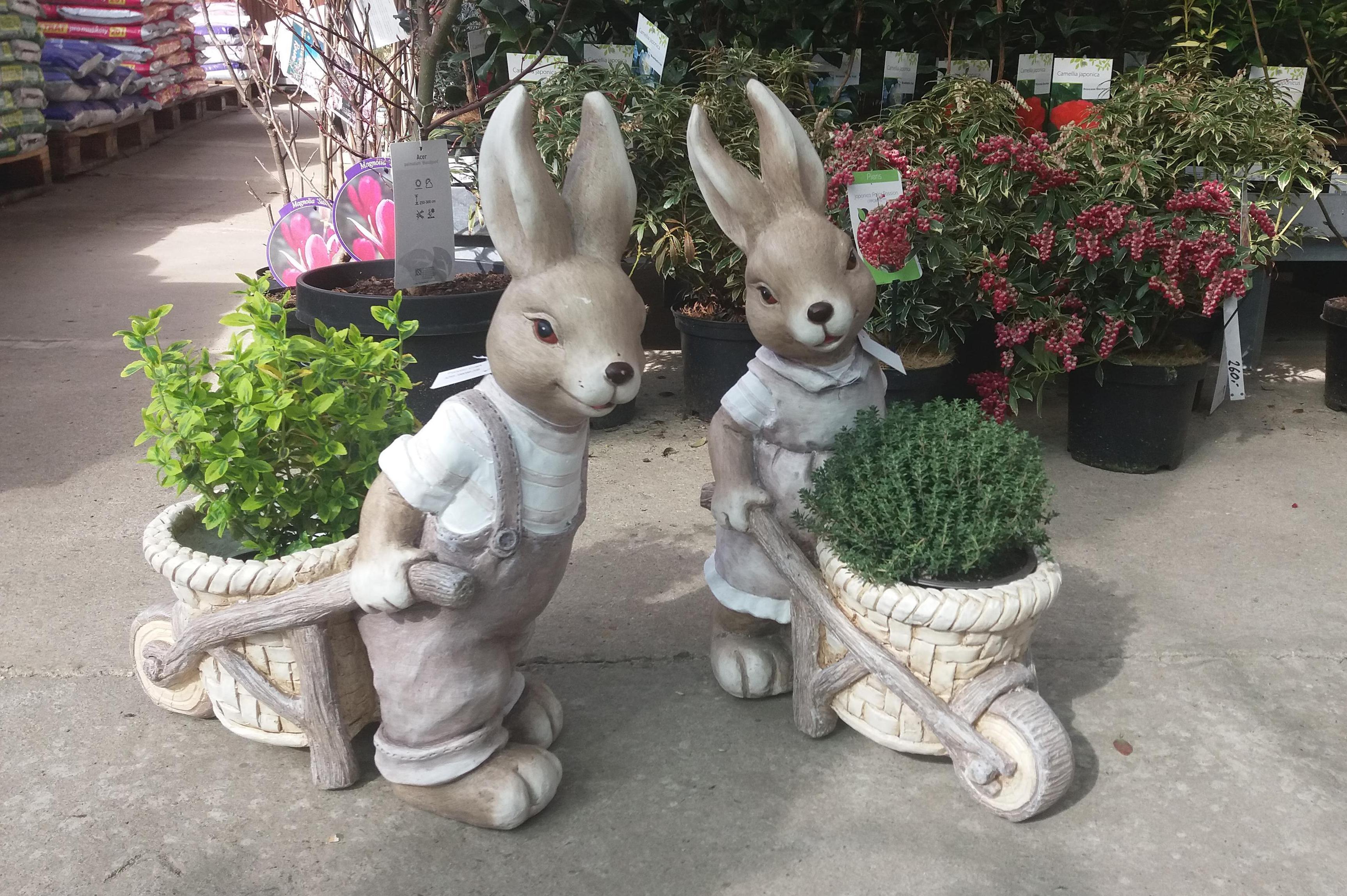 Zahradnictví Petr Čech, Roztoky