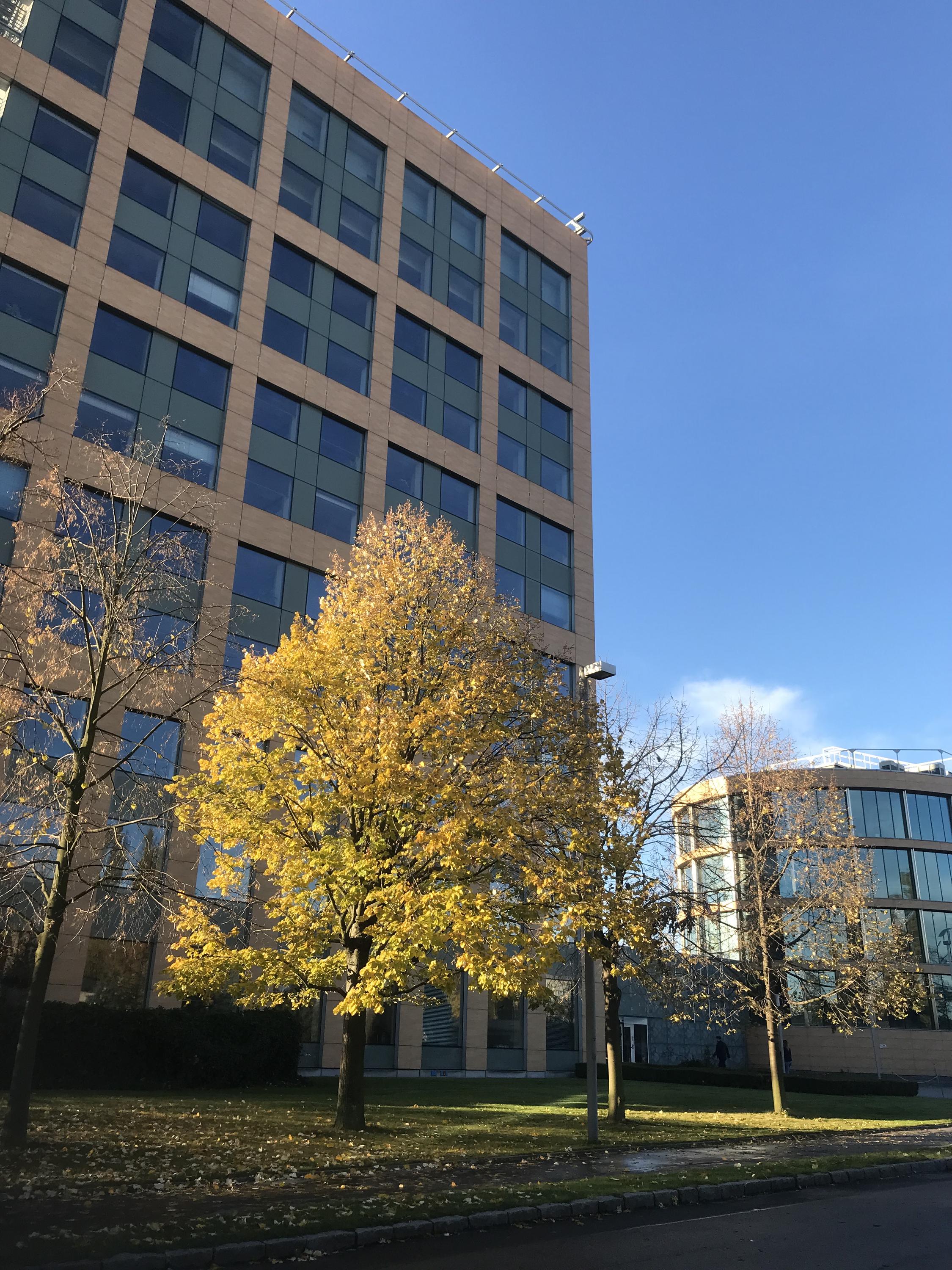 Zentiva, k.s. foto 5