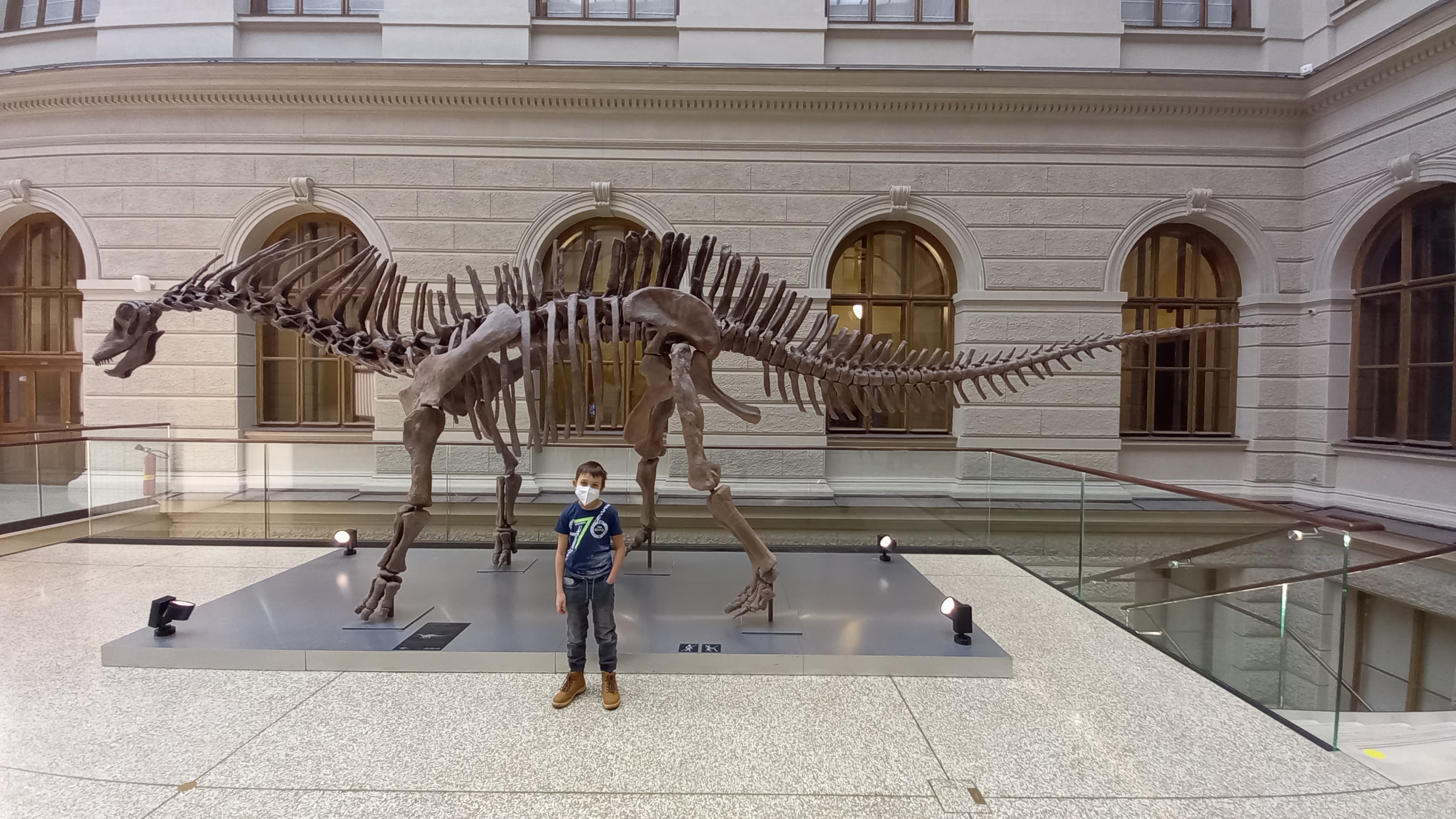 Historická budova Národního muzea foto 5