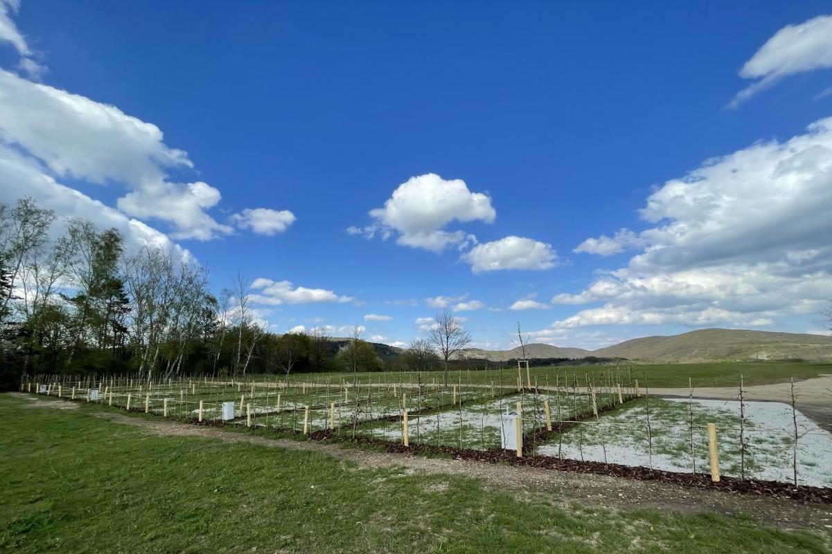 Stellplatz Tetín - karavanová stání