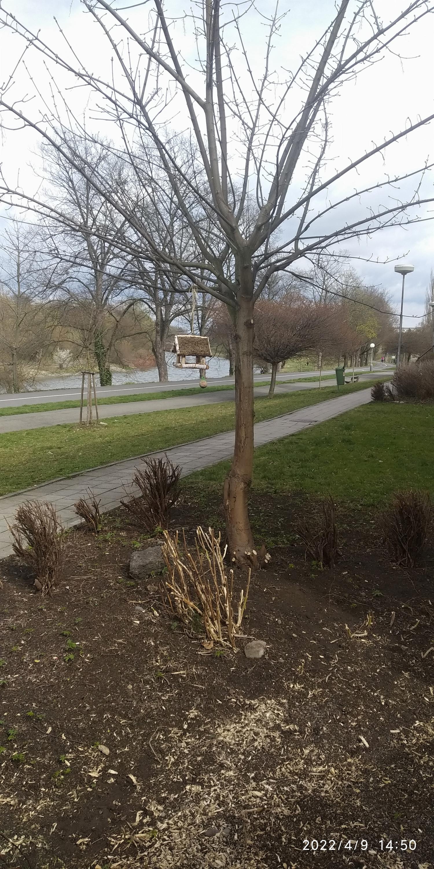 Mateřská škola A&T foto 2