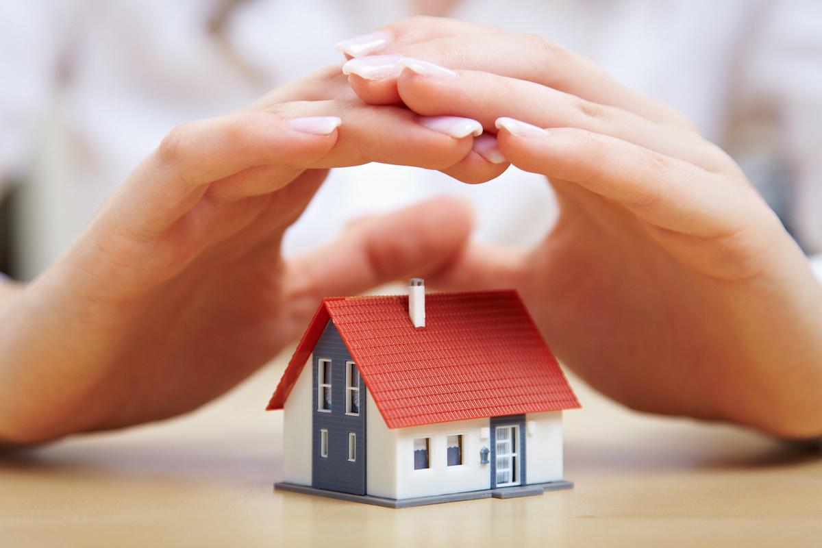 Petr Hasalík Reality