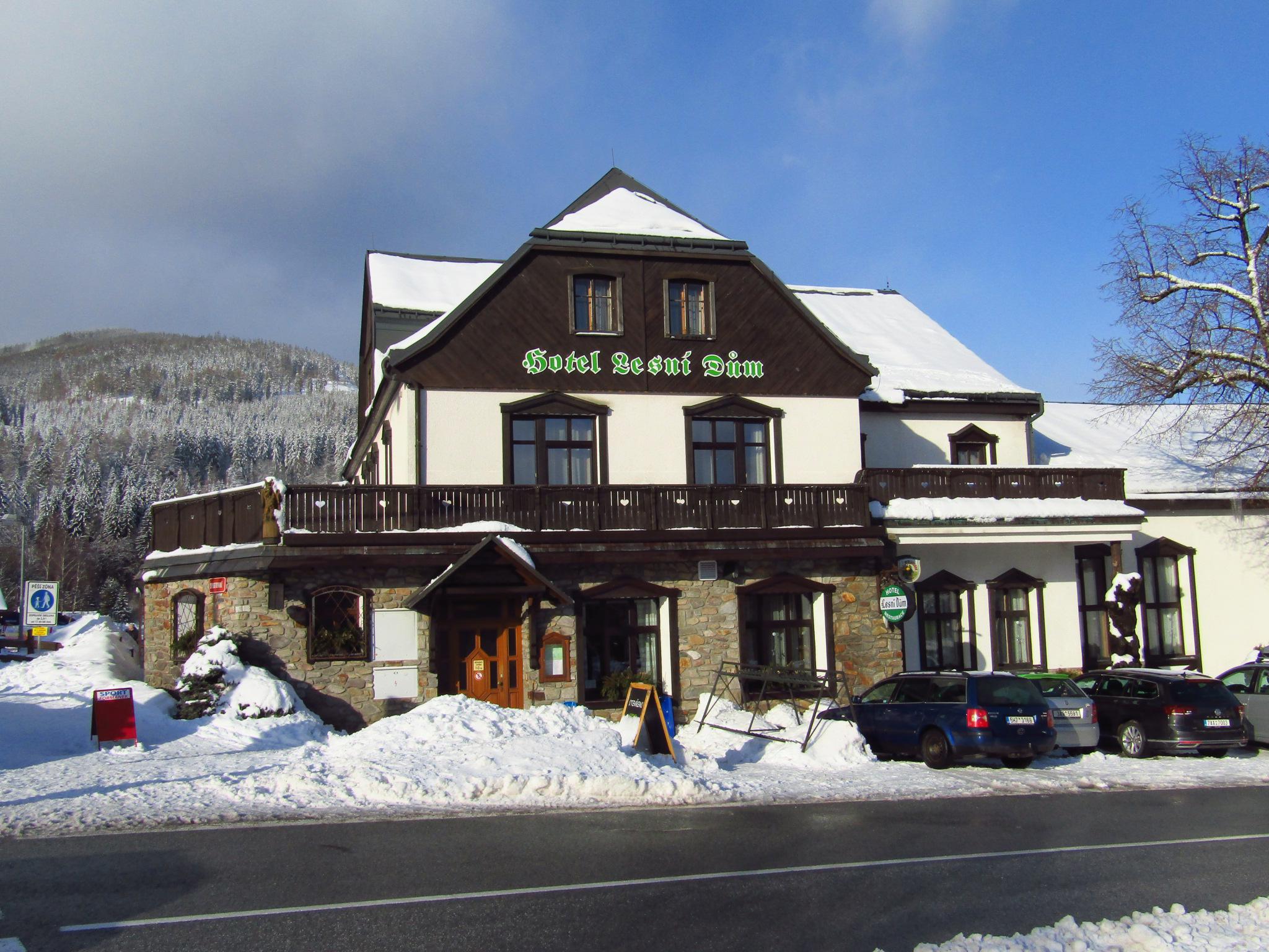 Hotel Lesní dům Janské Lázně foto 6
