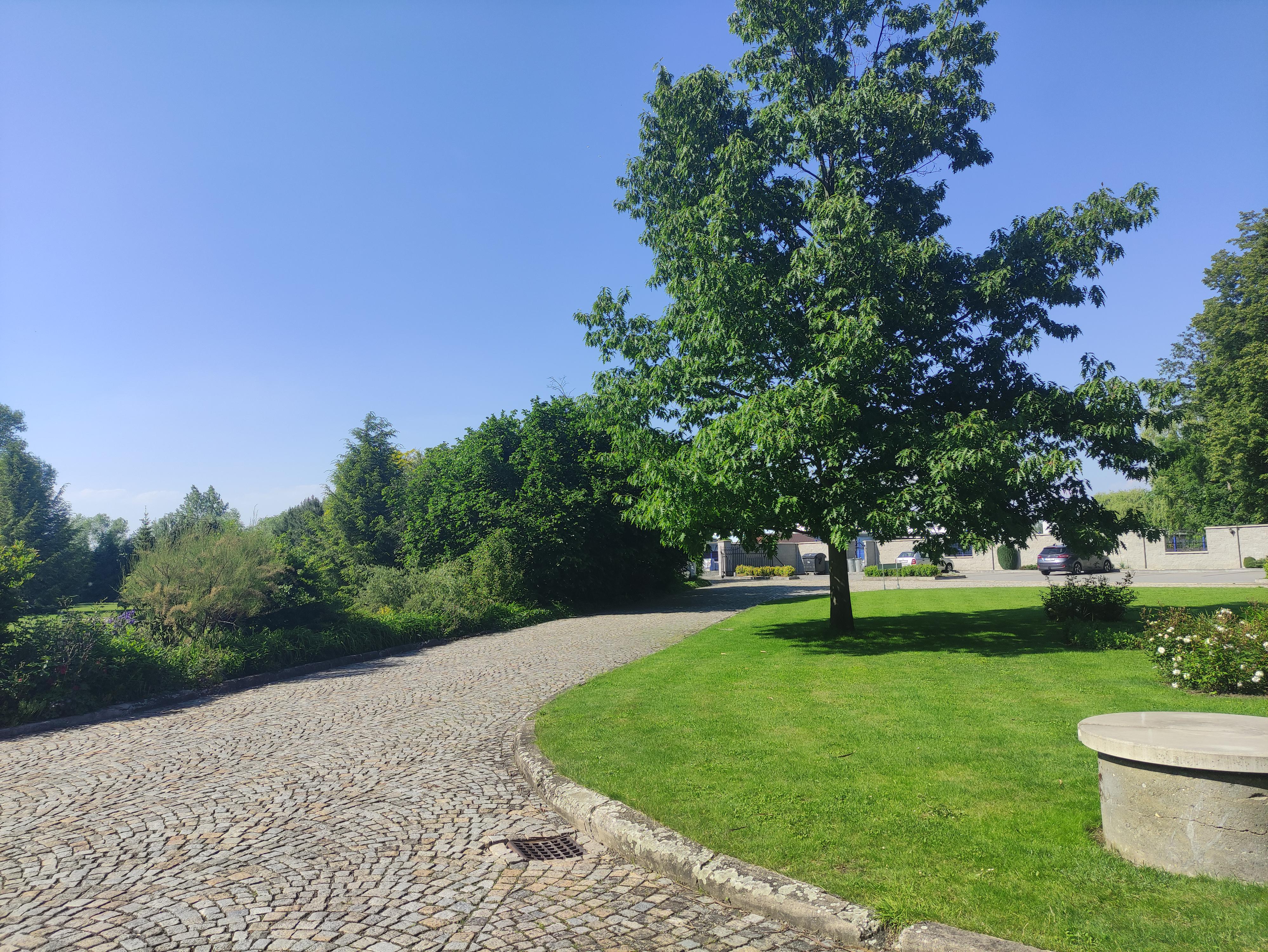 Penzion Velký mlýn Hlučín - restaurace foto 3