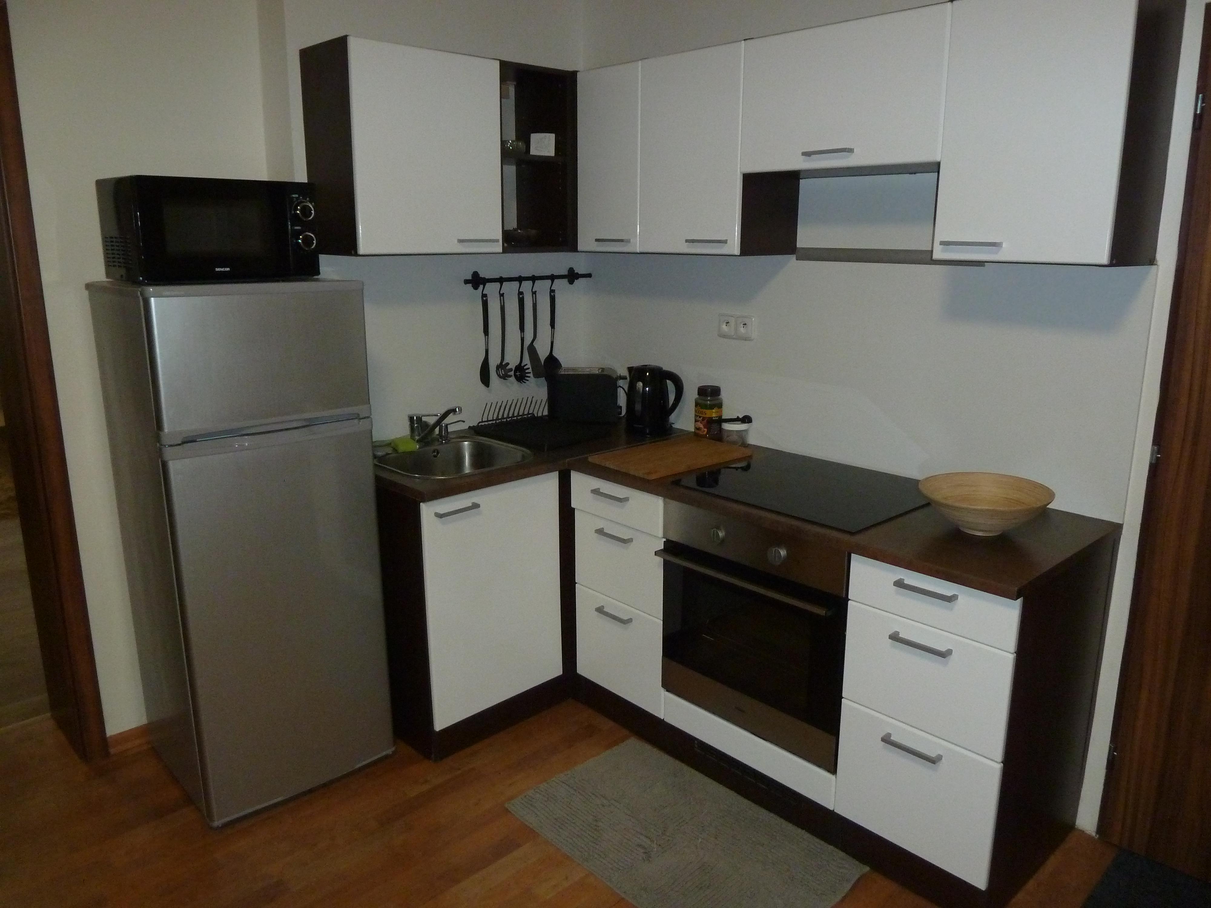 Apartmán Černý Tulipán #3