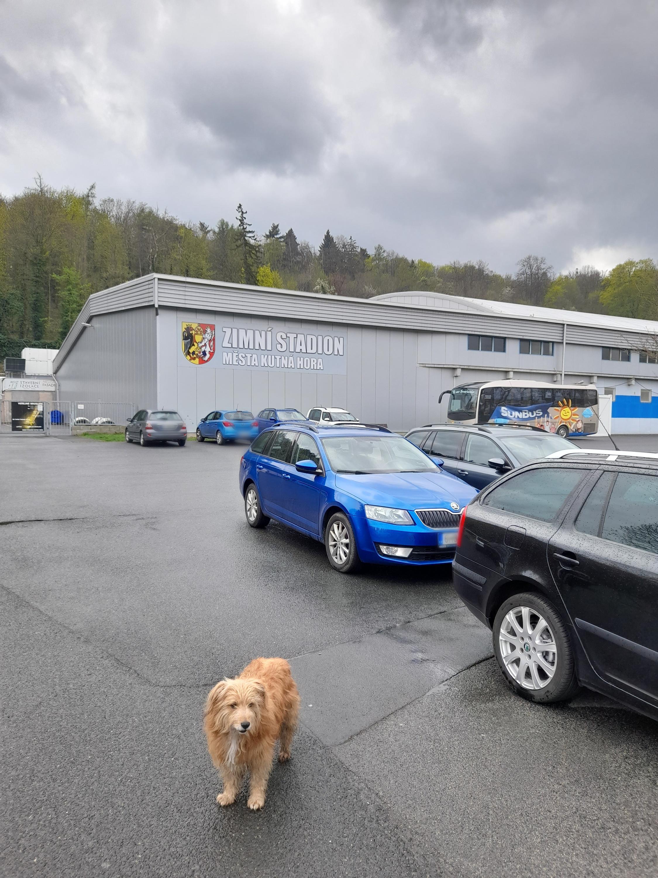 Zimní stadion foto 3