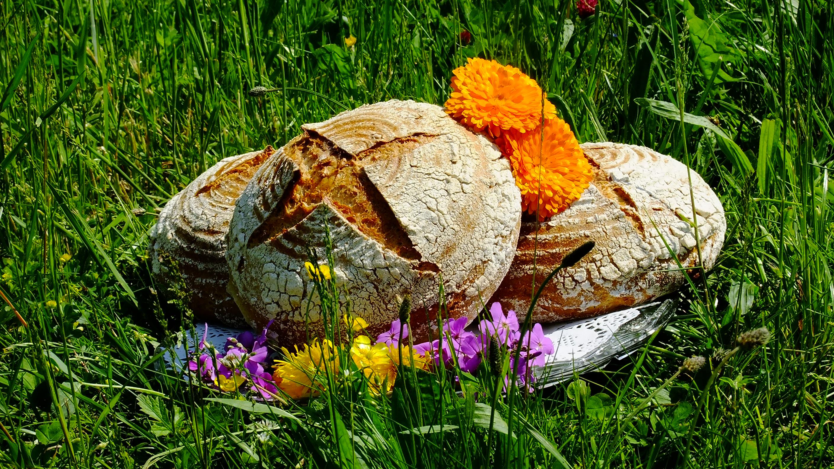 Řemeslná minipekárna Hanákovi - CAFIS s.r.o. foto 3