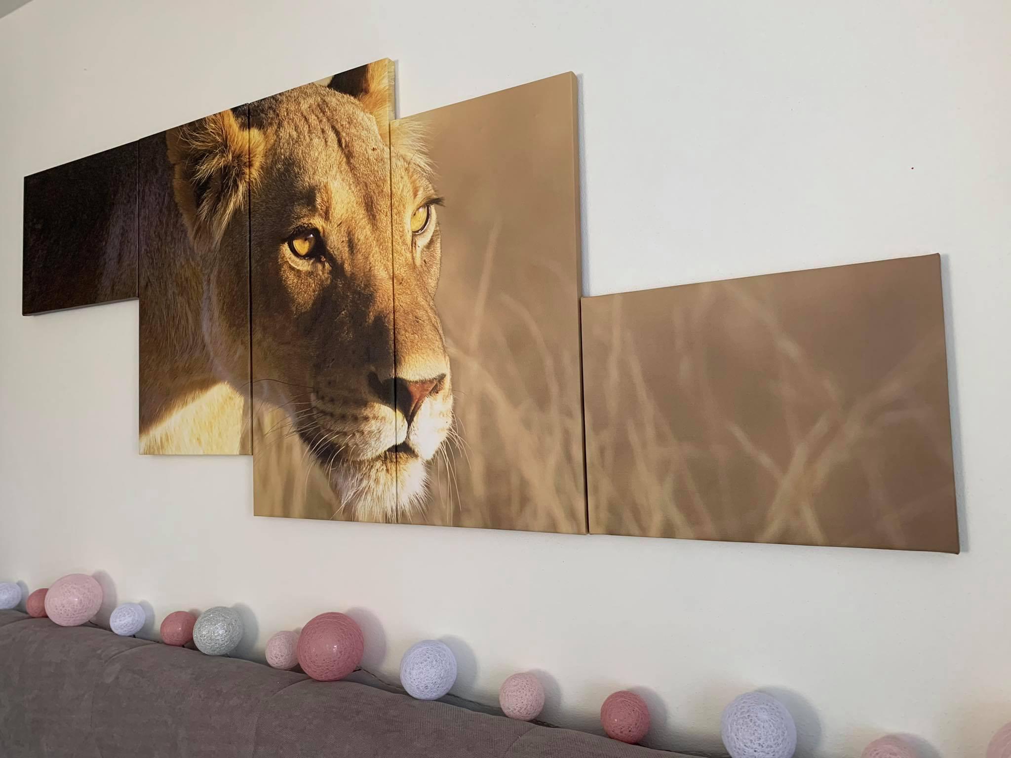 Bytové dekorace - Popydesign.cz foto 5