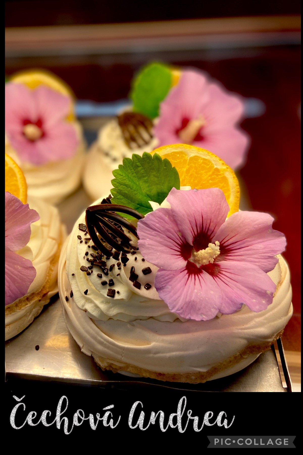 Andrea Čechová foto 2