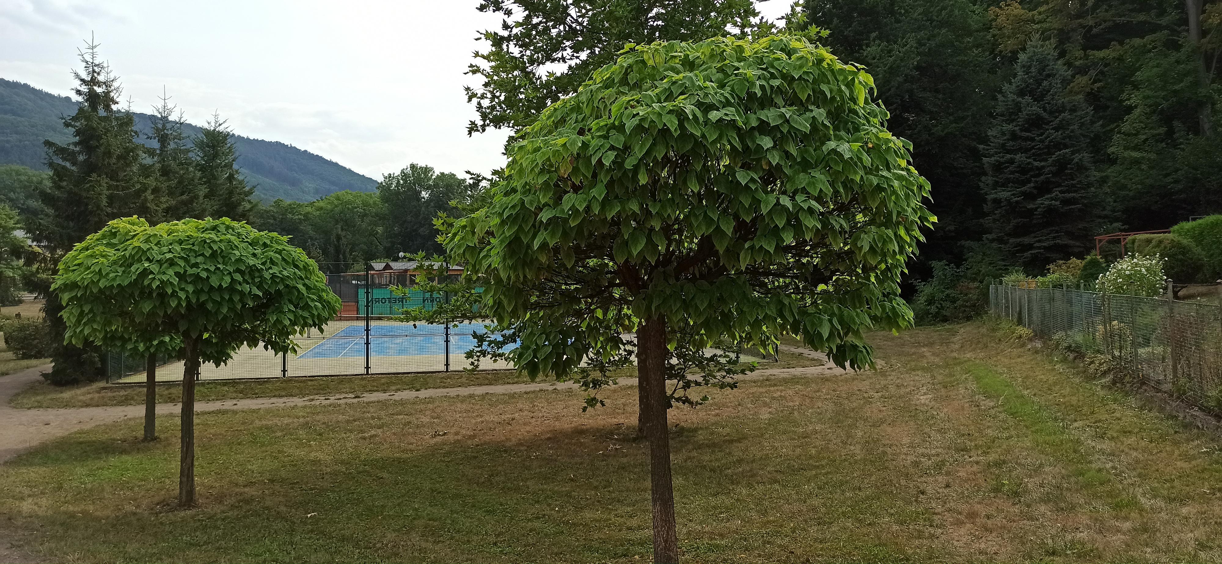 Město Klášterec nad Ohří - Tenis
