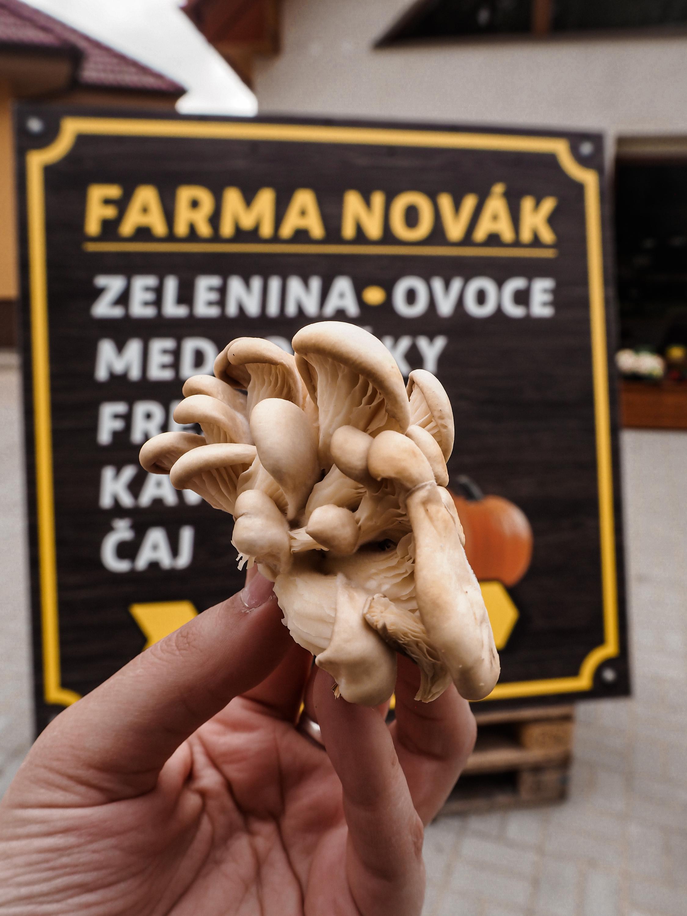 Prodejna Farma Novák foto 2