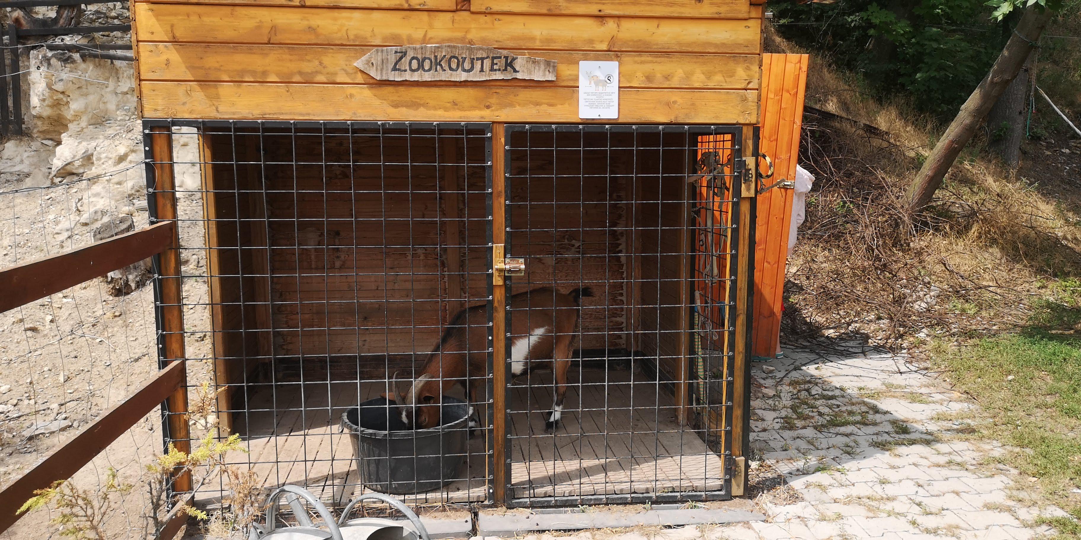 Ranč pod Skálou Třebívlice, z.s. foto 5