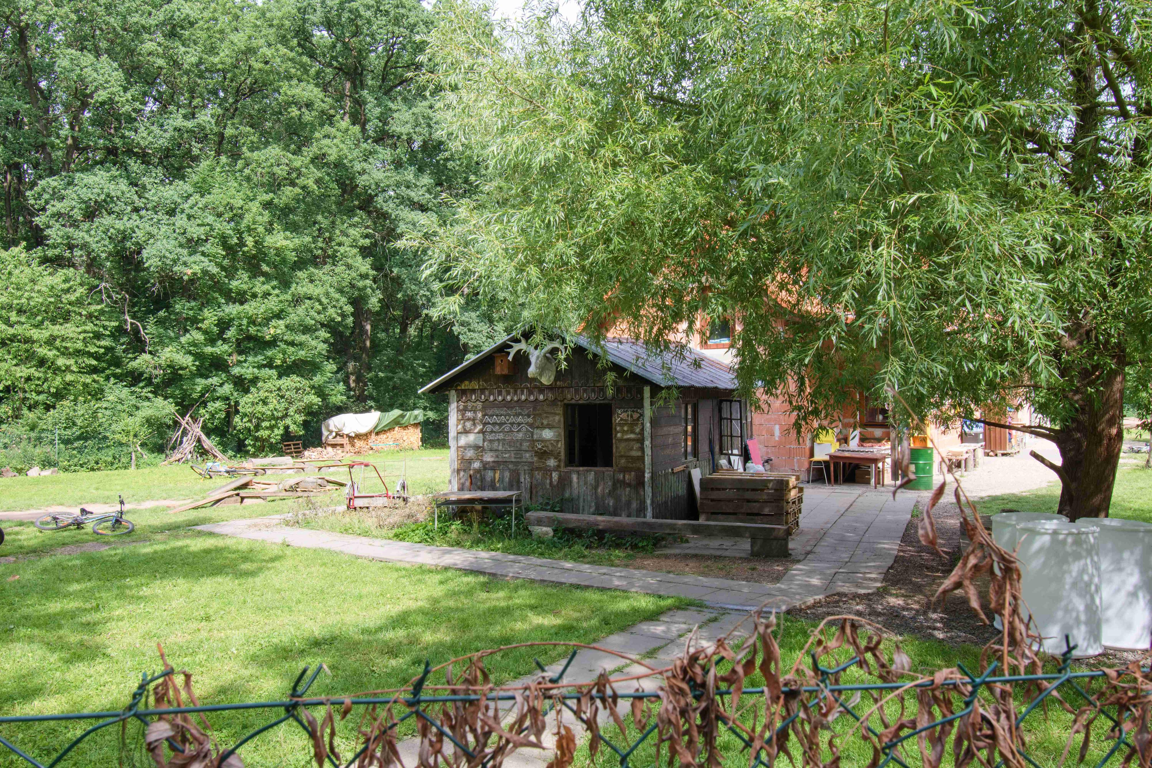 Lesní komunitní škola - V Hájence