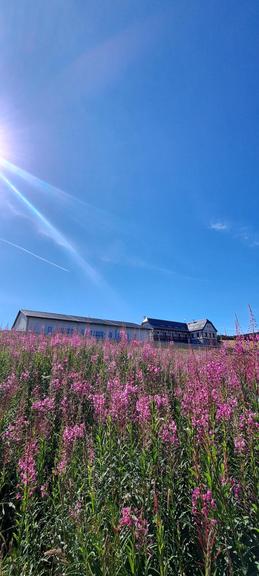 Königův mlýn foto 6