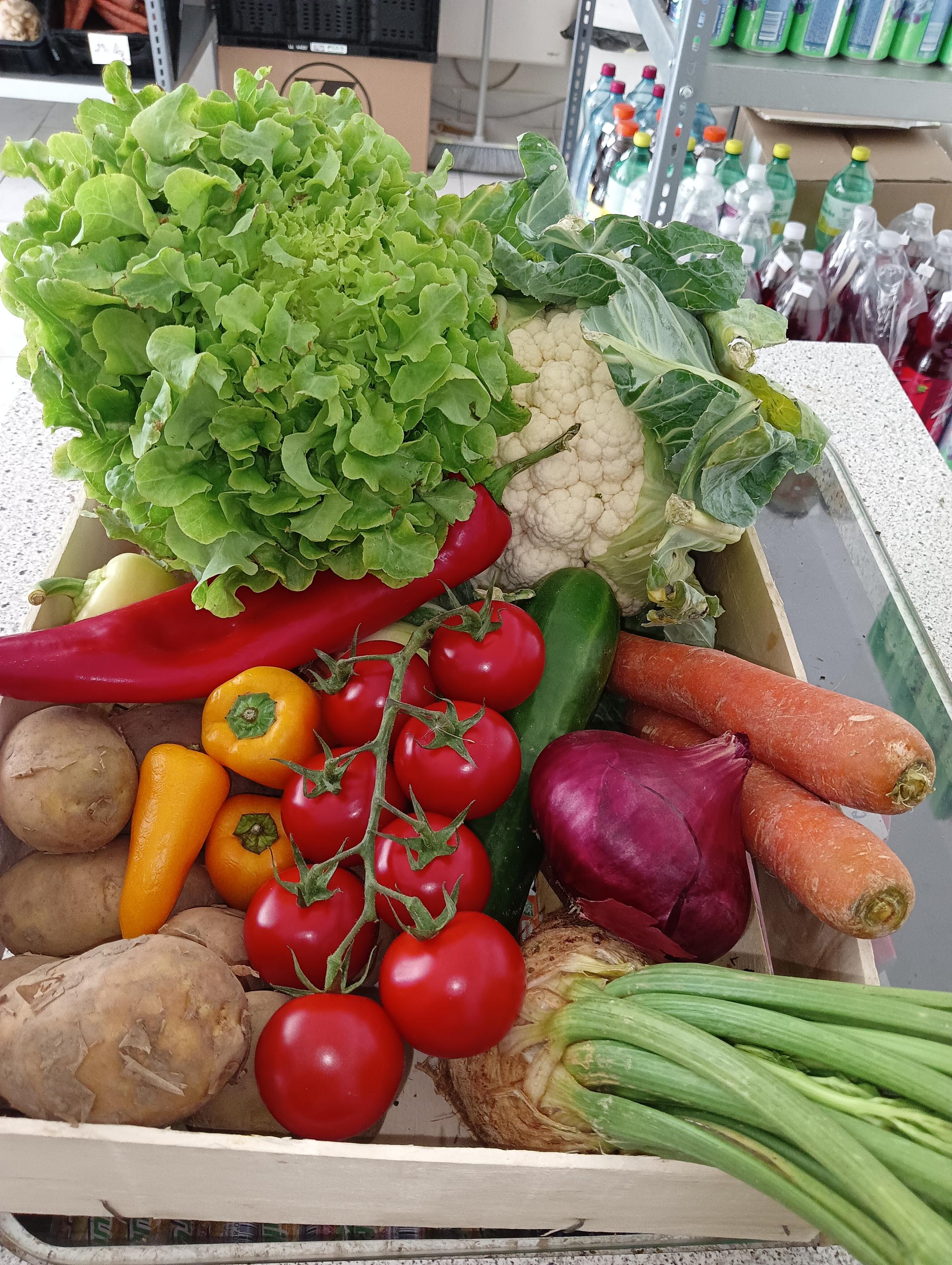 Zelenina a ovoce Iva Planičková foto 3