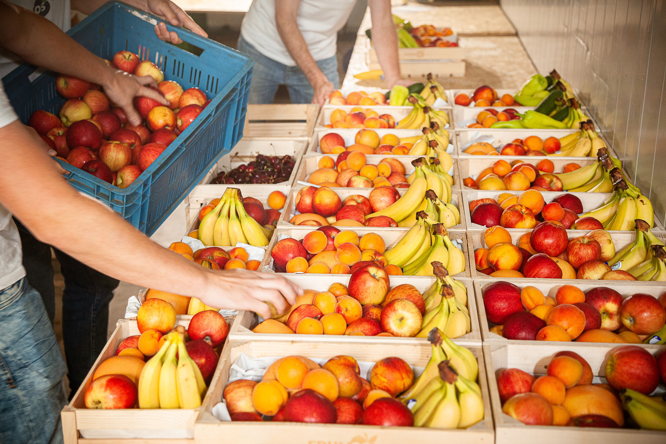 Frumoš - ovoce do kanceláře foto 2