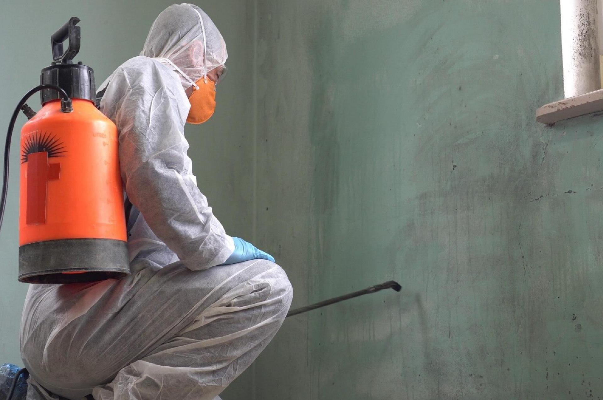 Deratizace, dezinsekce, dezinfekce Gunár foto 1