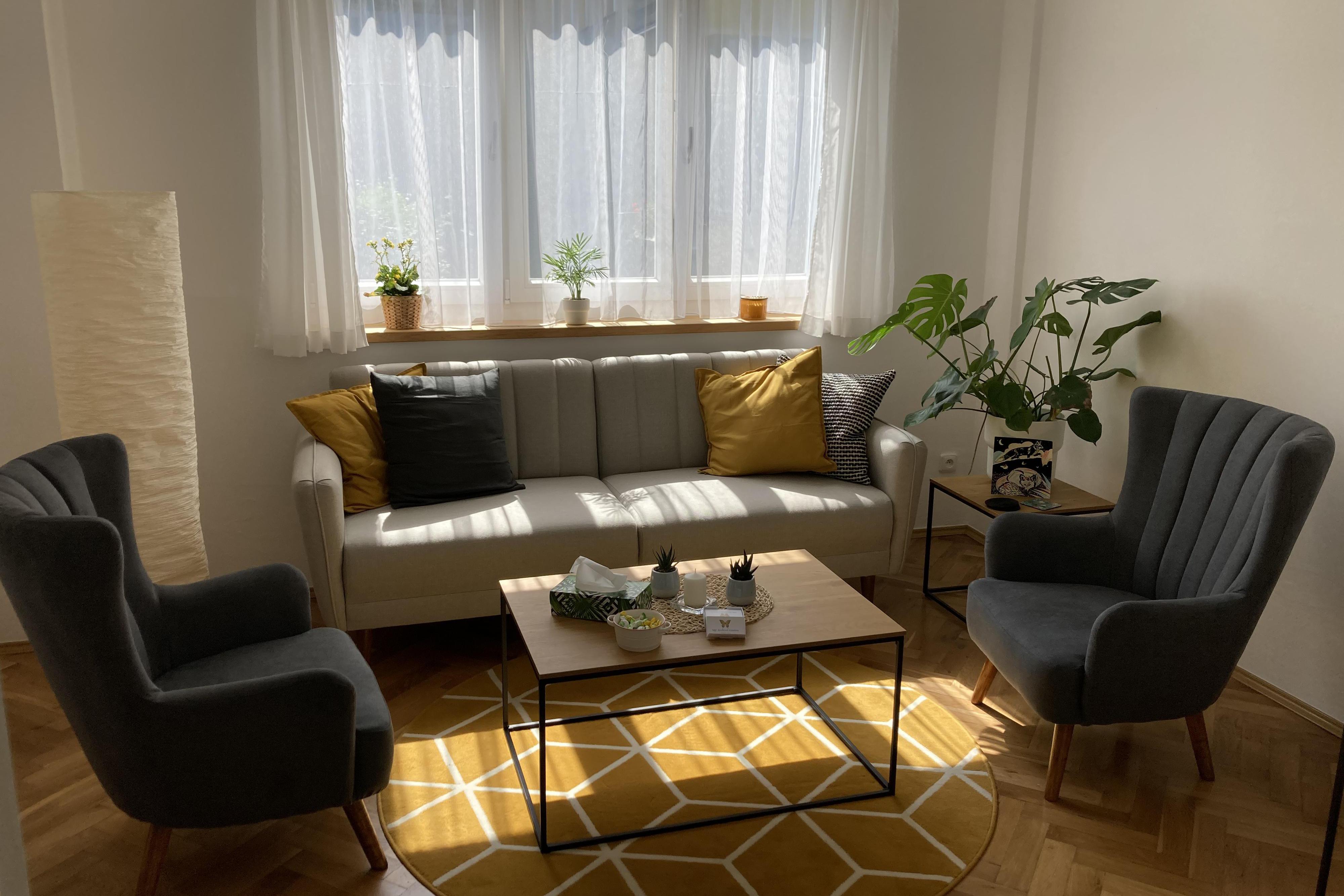 Terapie rodiny - Kateřina Brožková