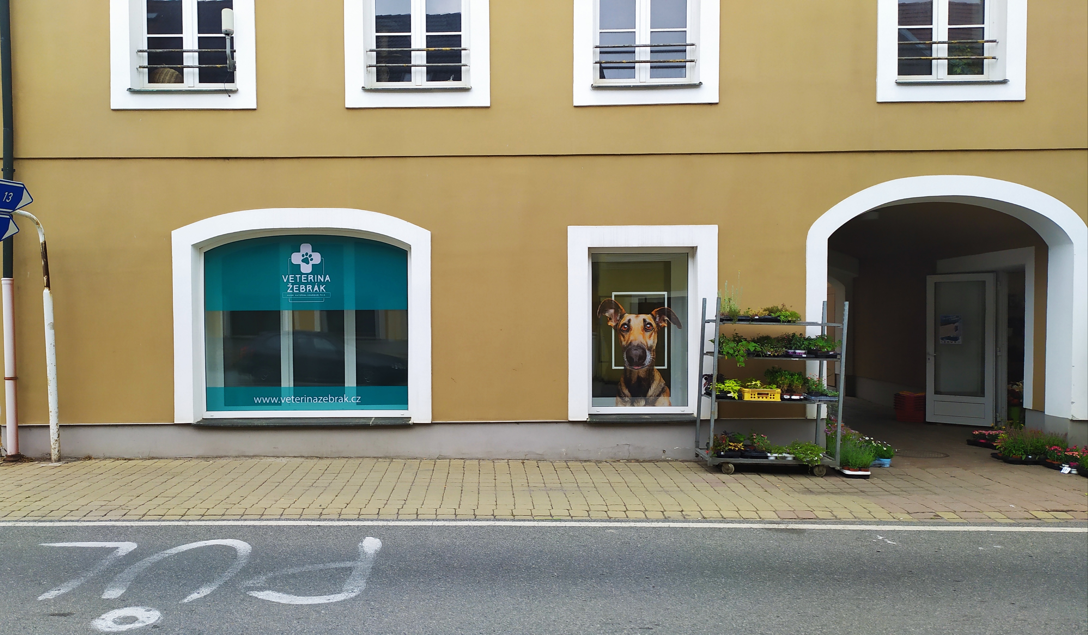 Veterinární ordinace MVDr. Kateřina Koursari, Ph.D. foto 3
