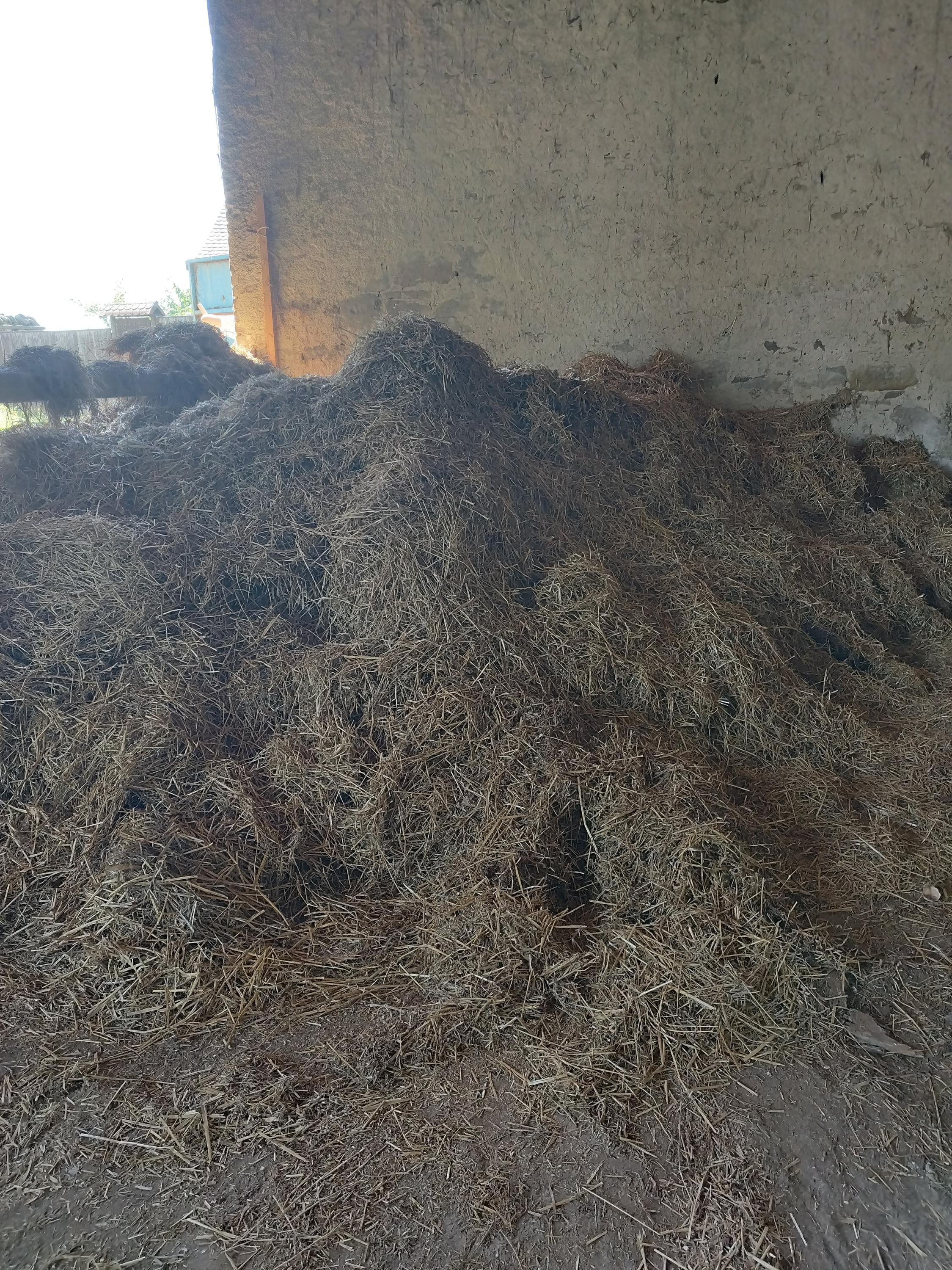 Dušan Toráč - vyklízecí práce foto 6