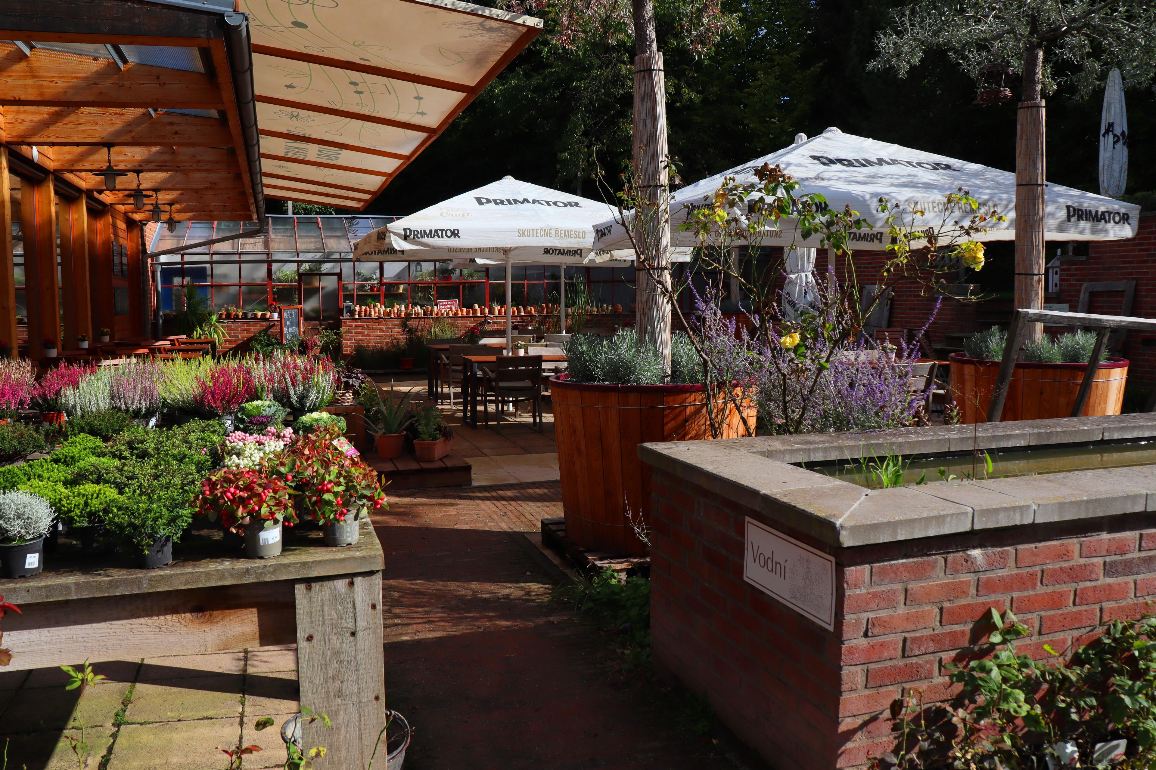 TREES - Zahradnictví a kavárna foto 6