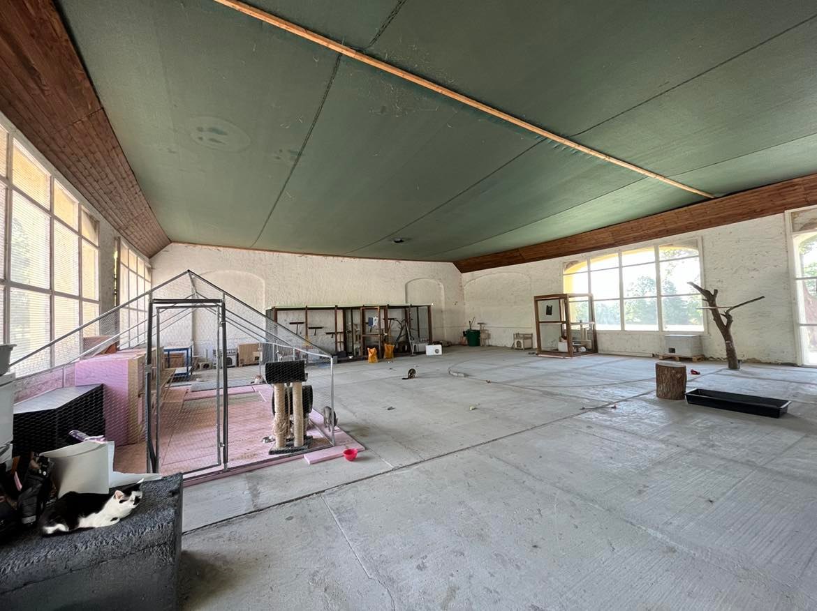 Kočičí útulek ALFONZ ÚMONÍN foto 2