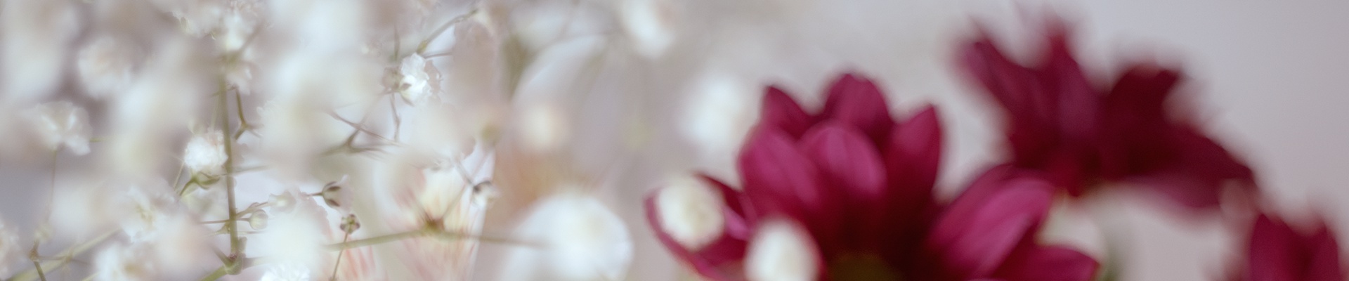 Úvodní obrázek Pohřební služby Sommer