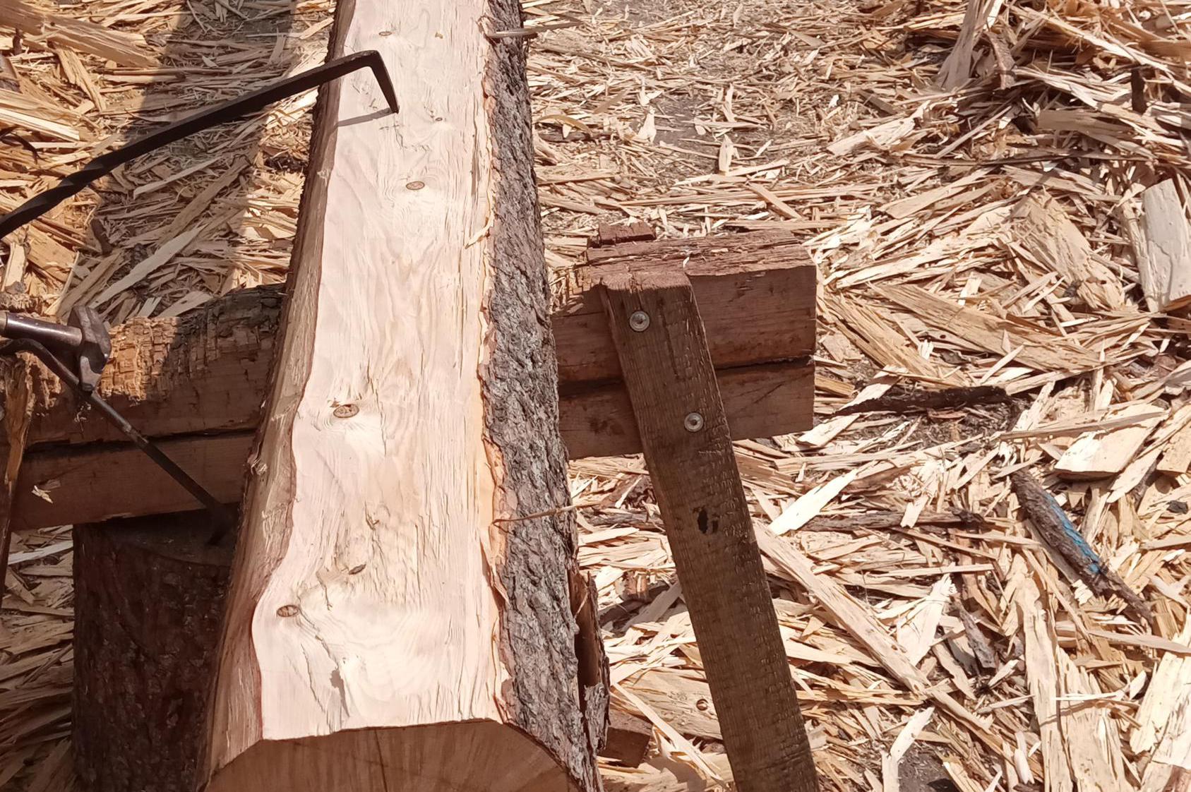 Alešovo Tradiční Tesařství foto 1