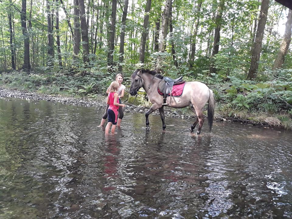 Stáj Moncheri foto 4