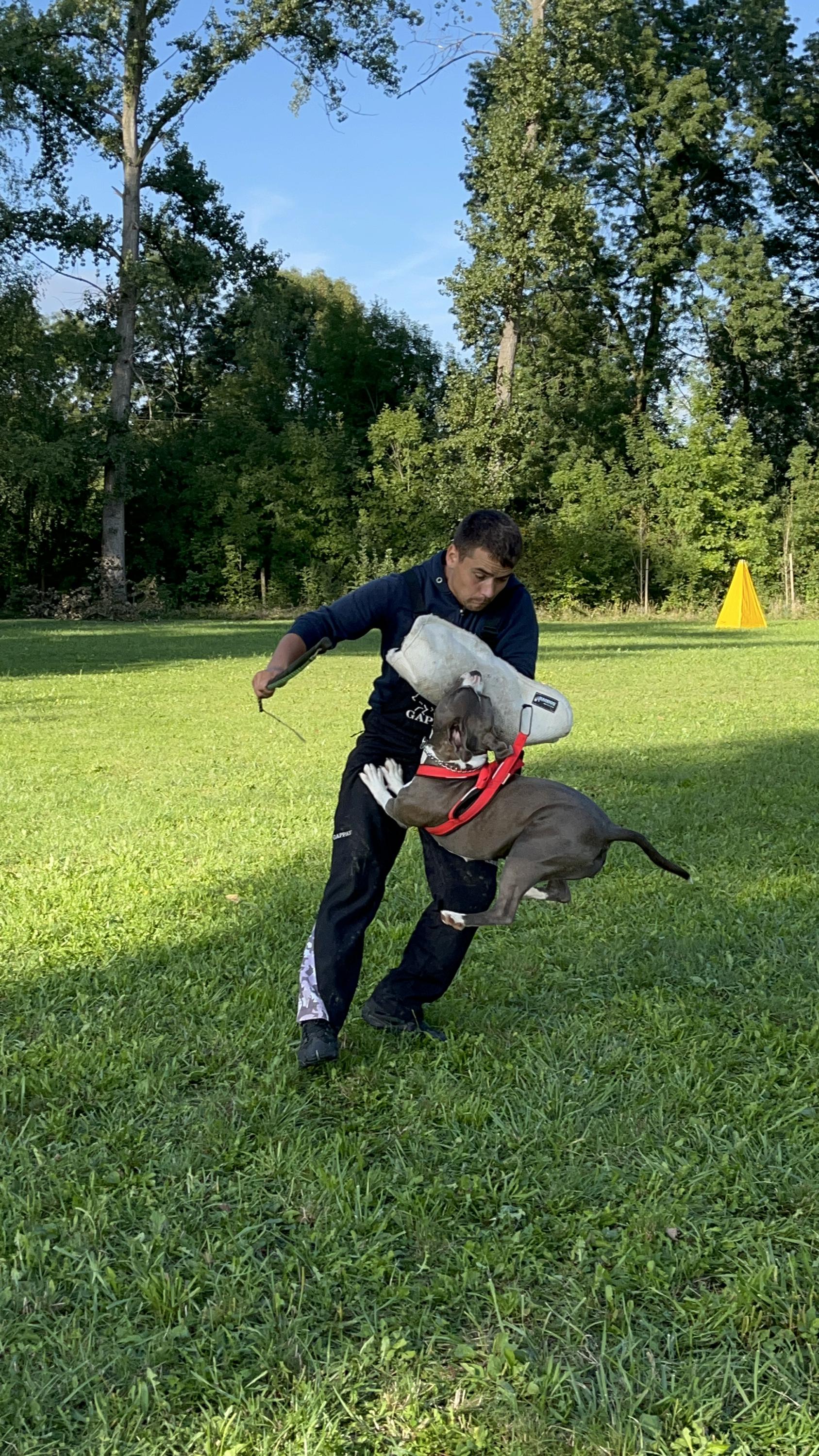 ZKO Veselí nad Moravou foto 2