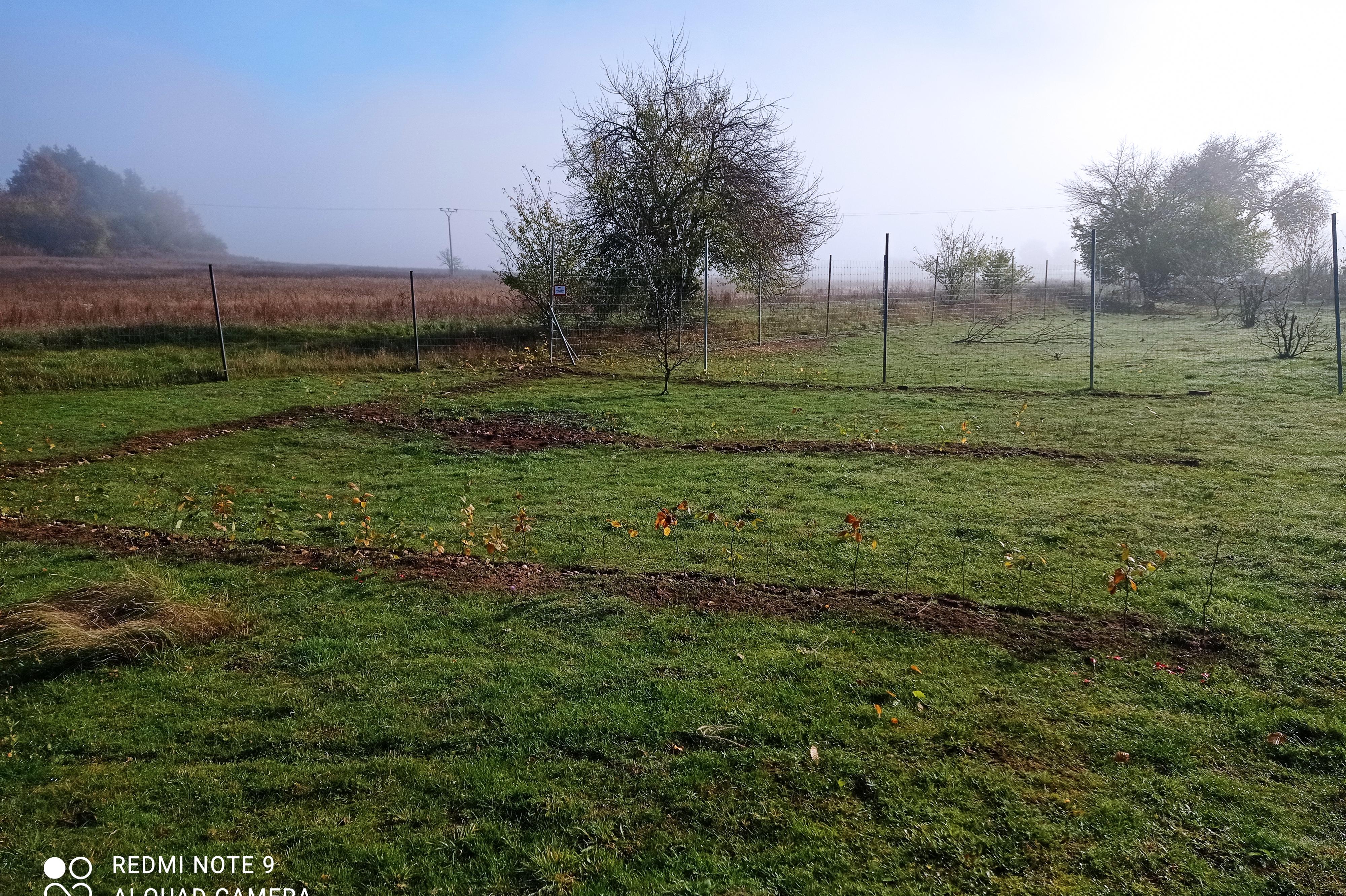 Stellplatz KRAVÍN foto 1