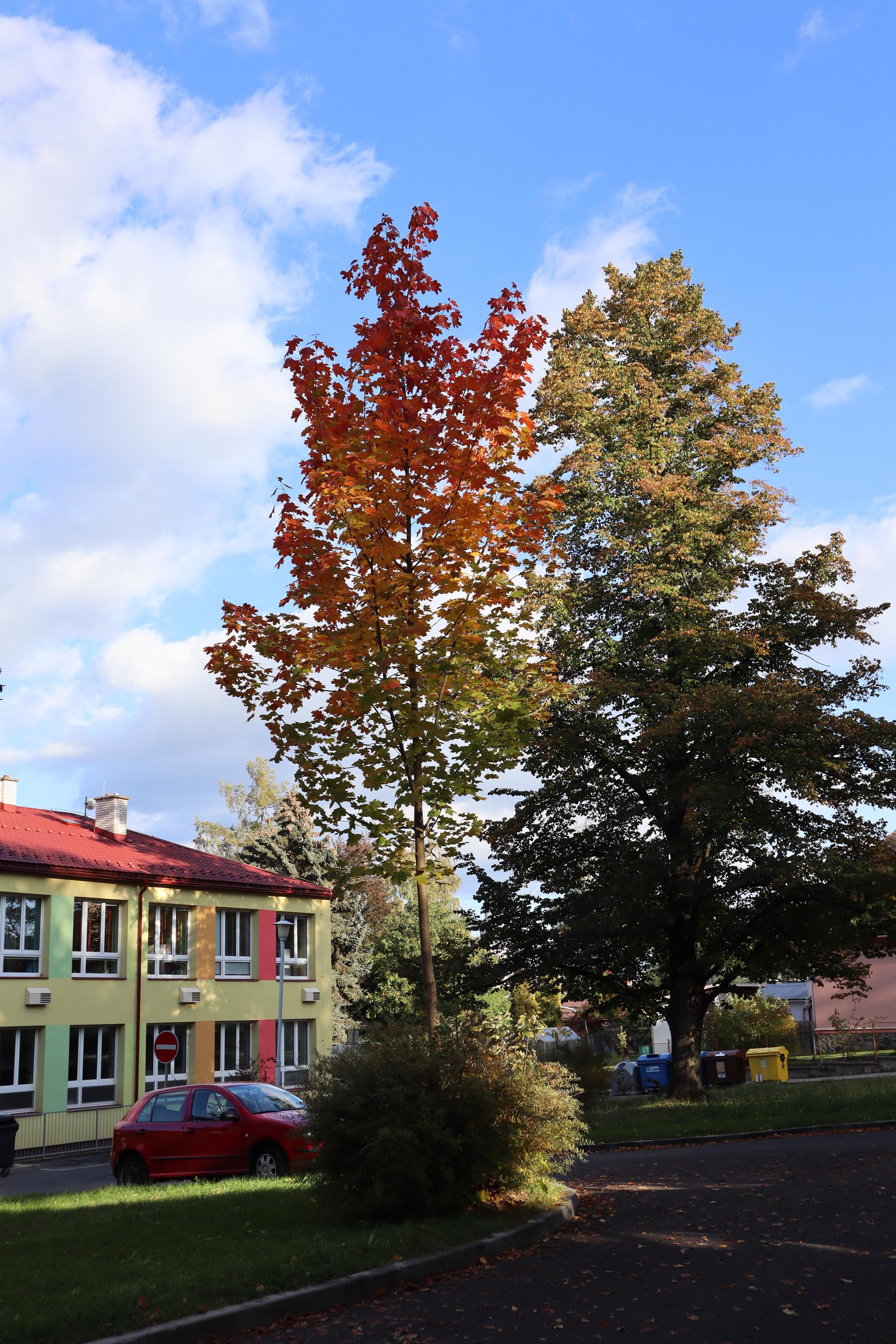 ZŠ Zábřeh, Boženy Němcové 1503/15 foto 2