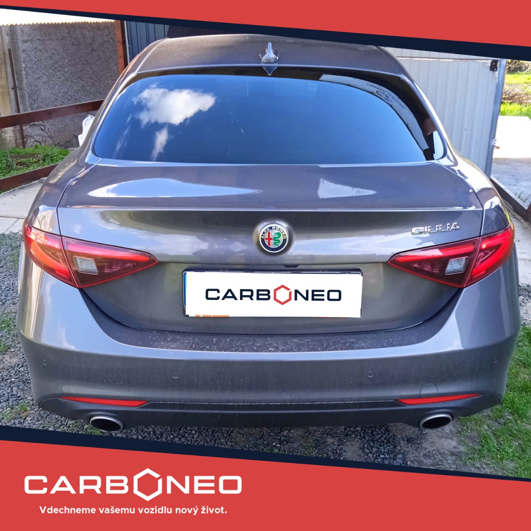 CARBONEO foto 4