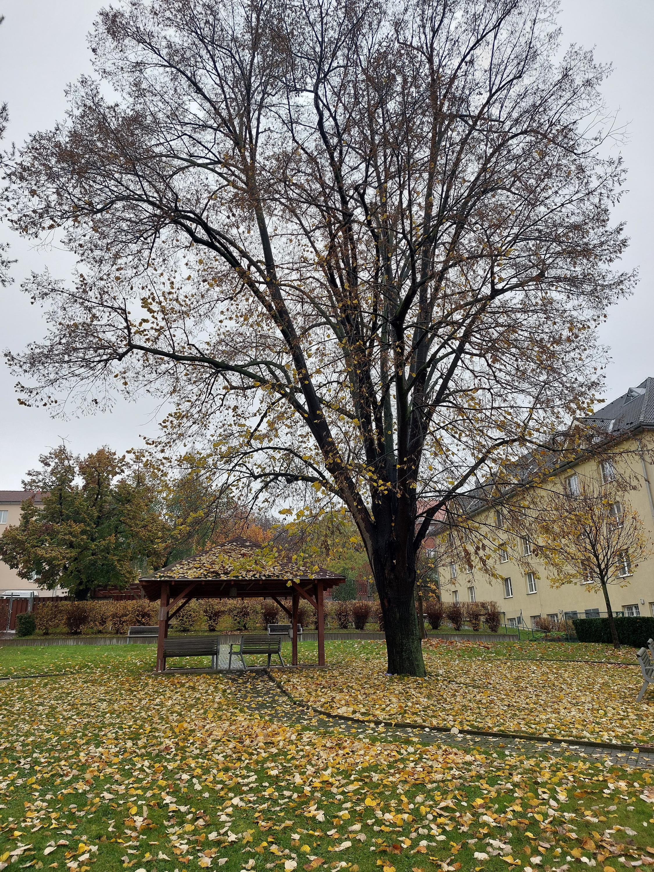 Sociální služby Praha 9, z.ú. foto 5