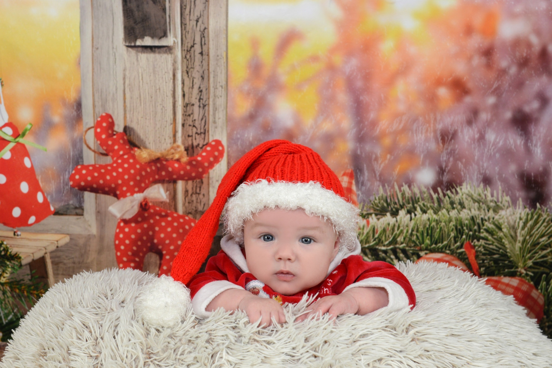 Fotoateliér - Lenka Oravcová foto 4