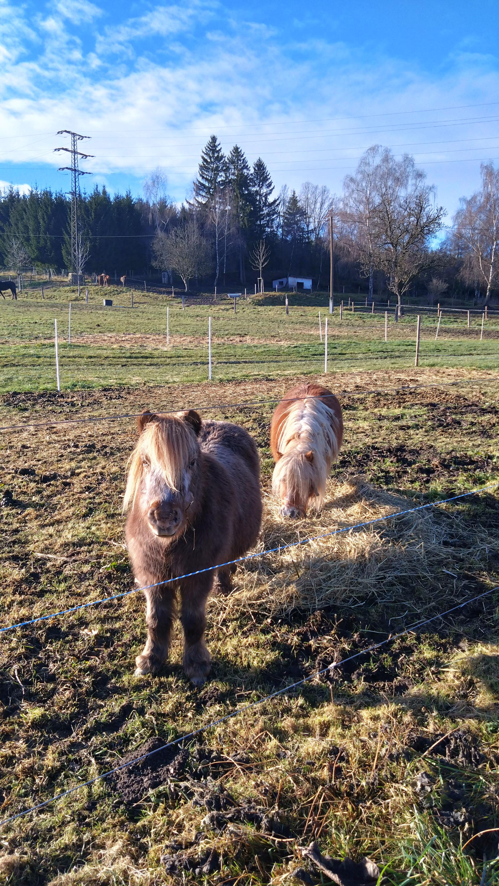 Jízdárna Zámek Skalice foto 4
