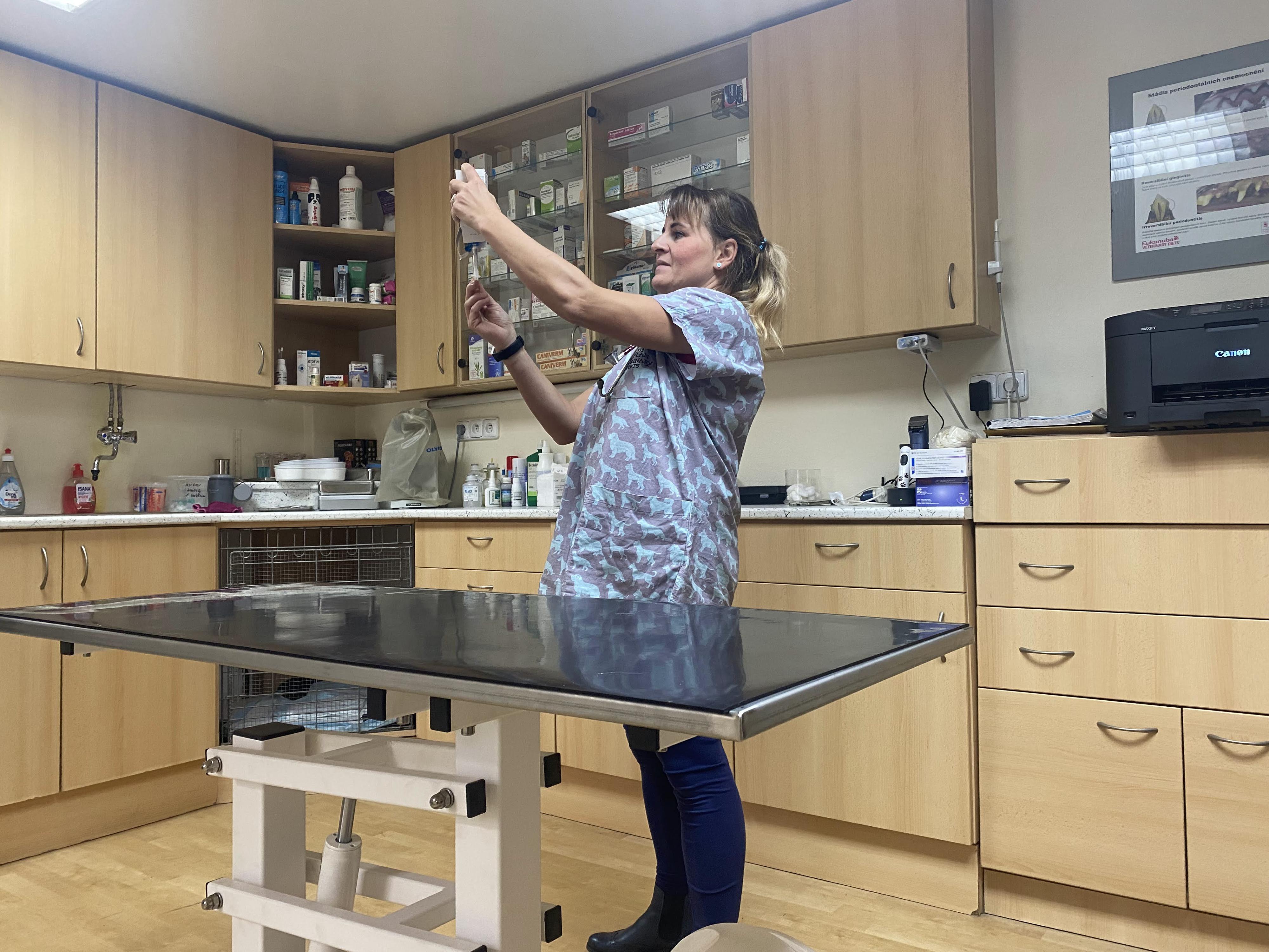 Veterinární ordinace kubeVET foto 3