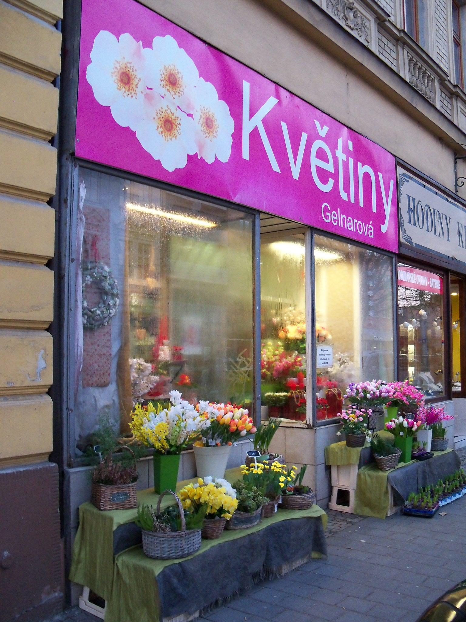 Kvetiny-gelnarova.cz foto 2