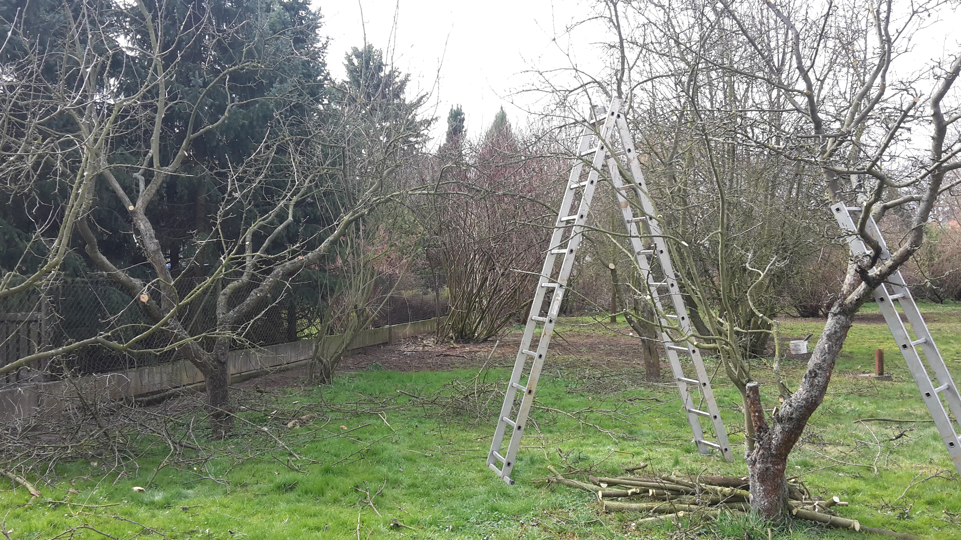 Arboristika J&J foto 3