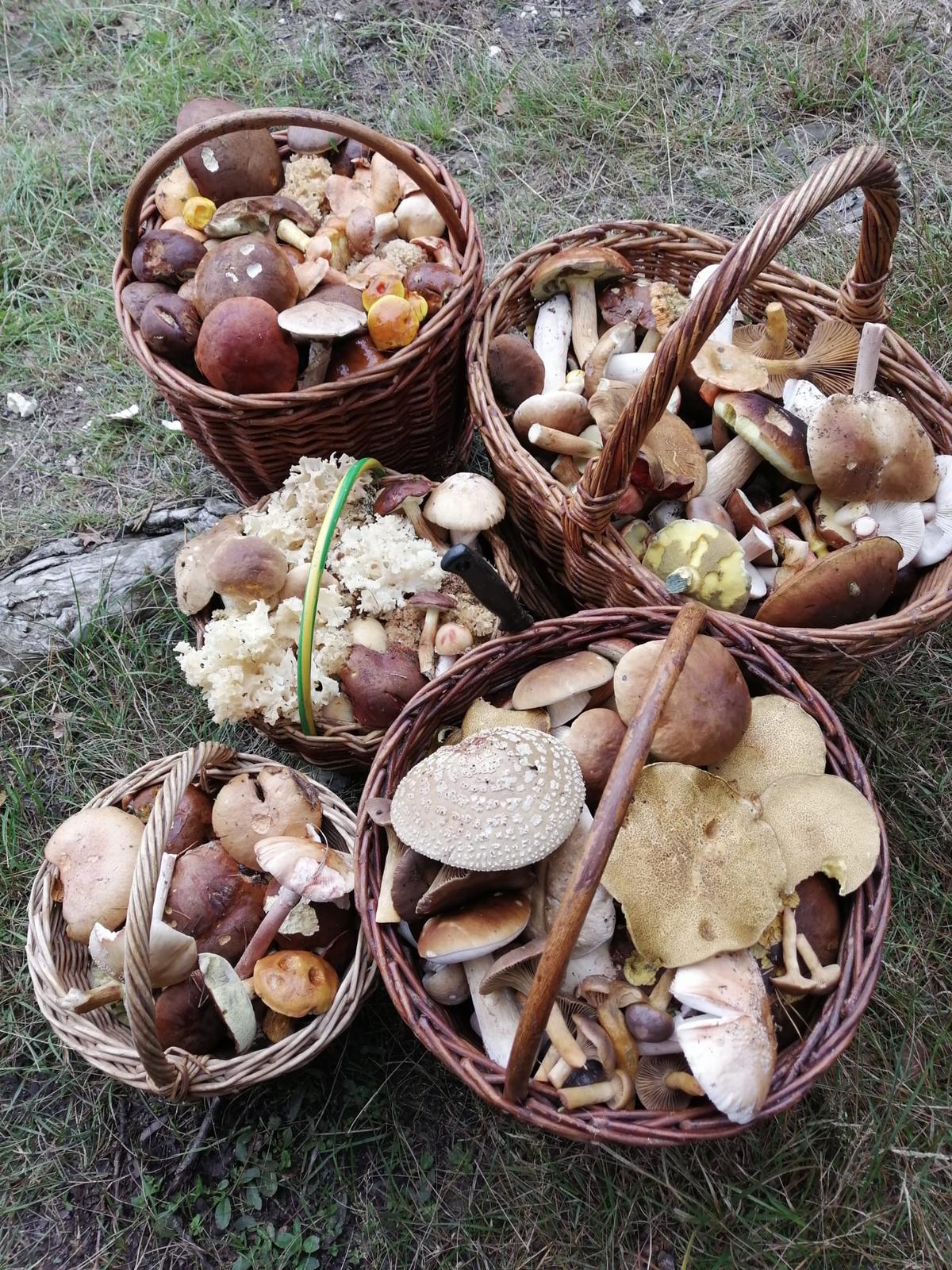 Penzion Vojtíšek foto 3