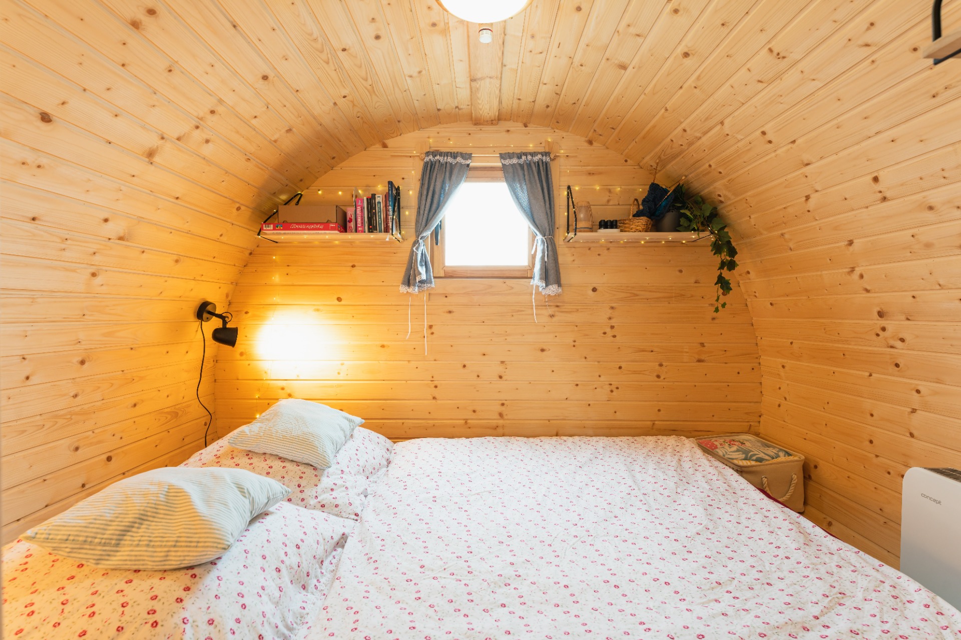 Bobule v sudu foto 4