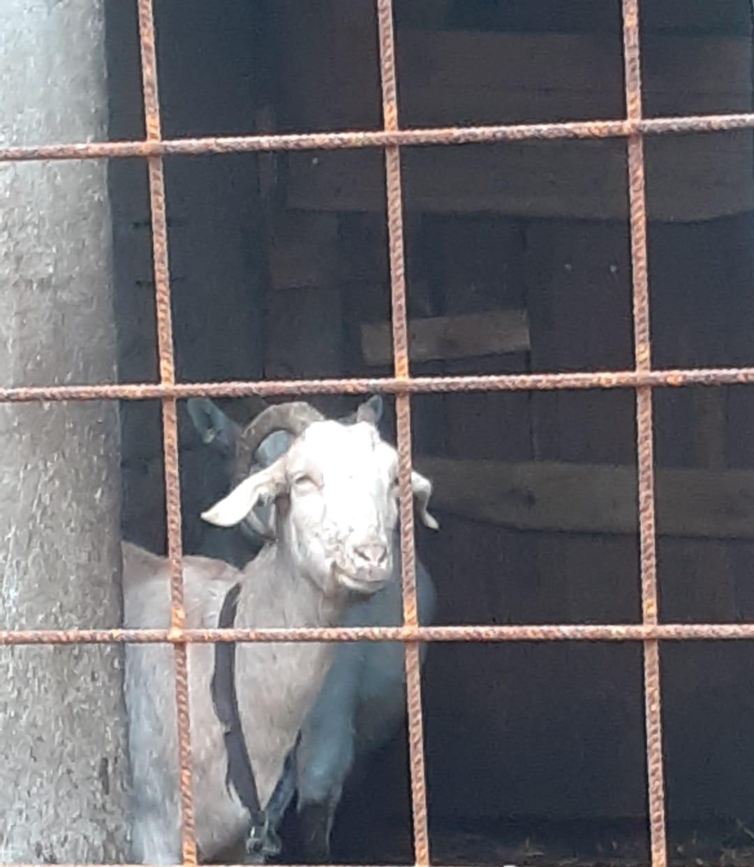 Iveta Navrátilová foto 3