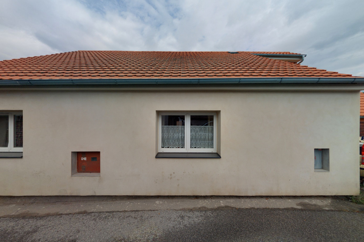 Stříhání psů - Kristýna Rolníková