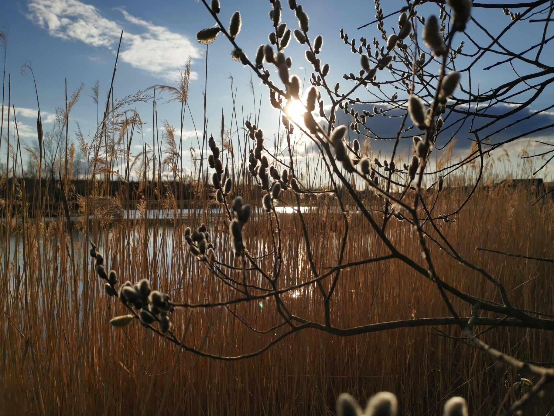 Rekreační areál Jezero Vojkovice foto 3