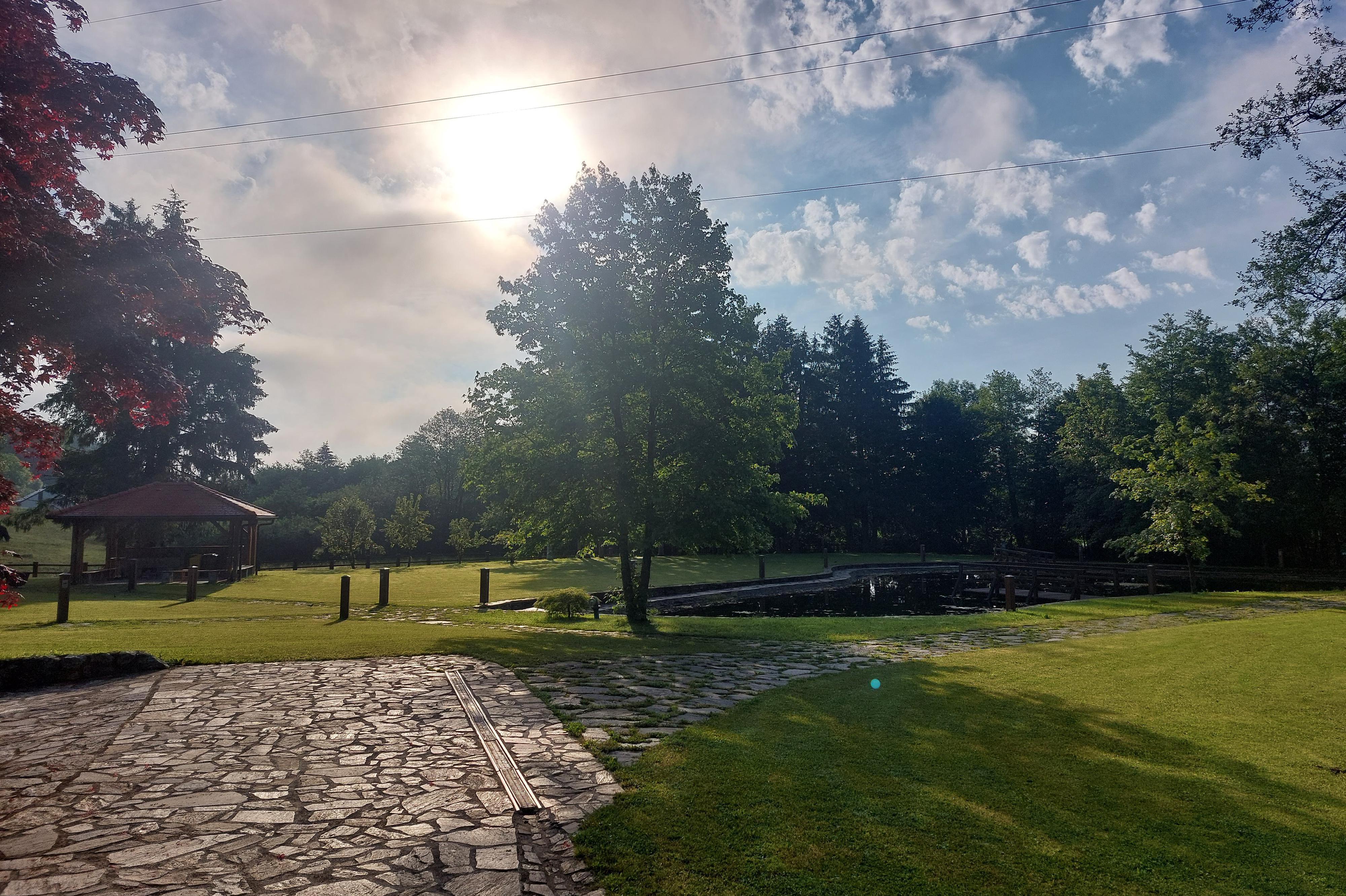 Zahradnické práce - Michal Stejný