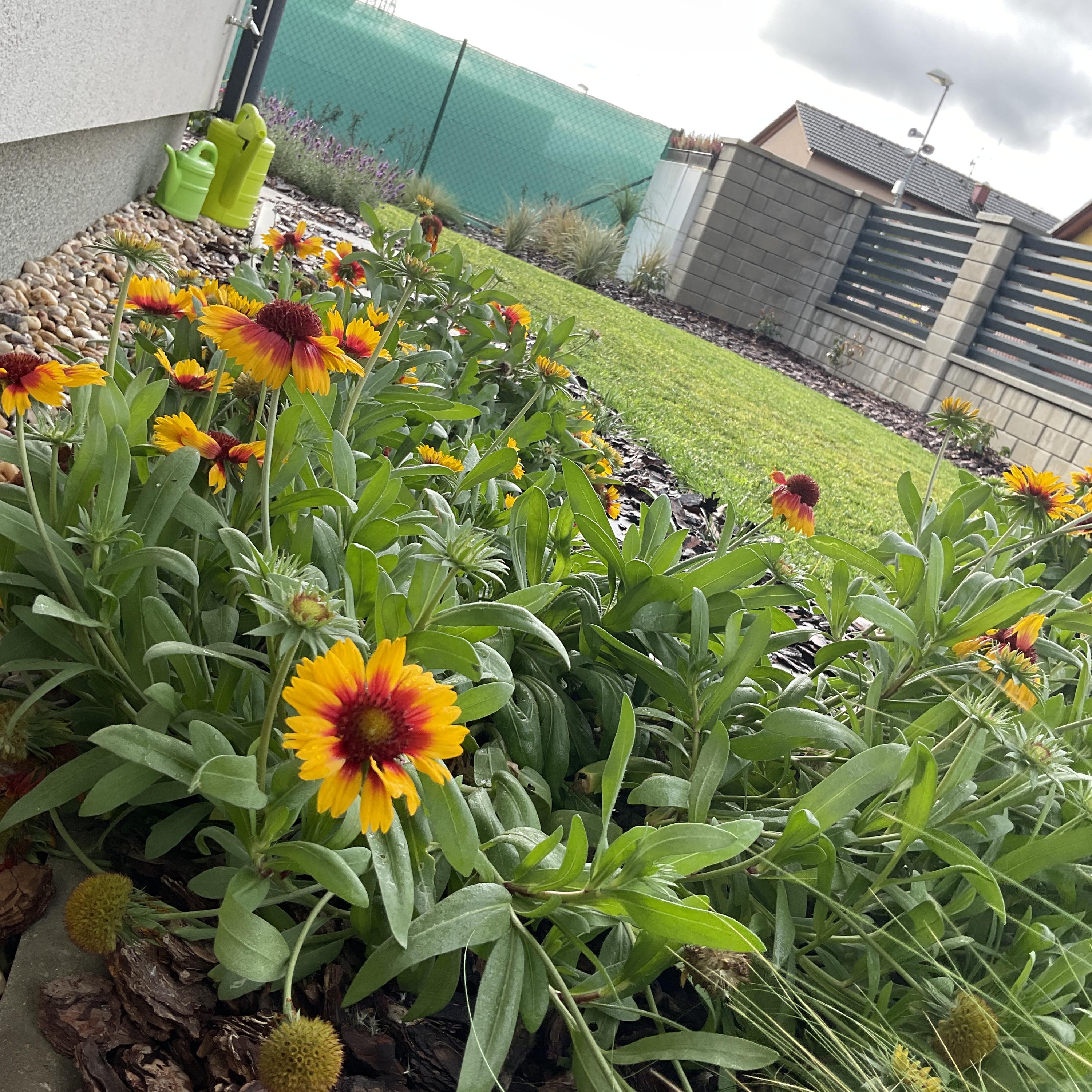 Realizace zahrad - Filip Procházka foto 6